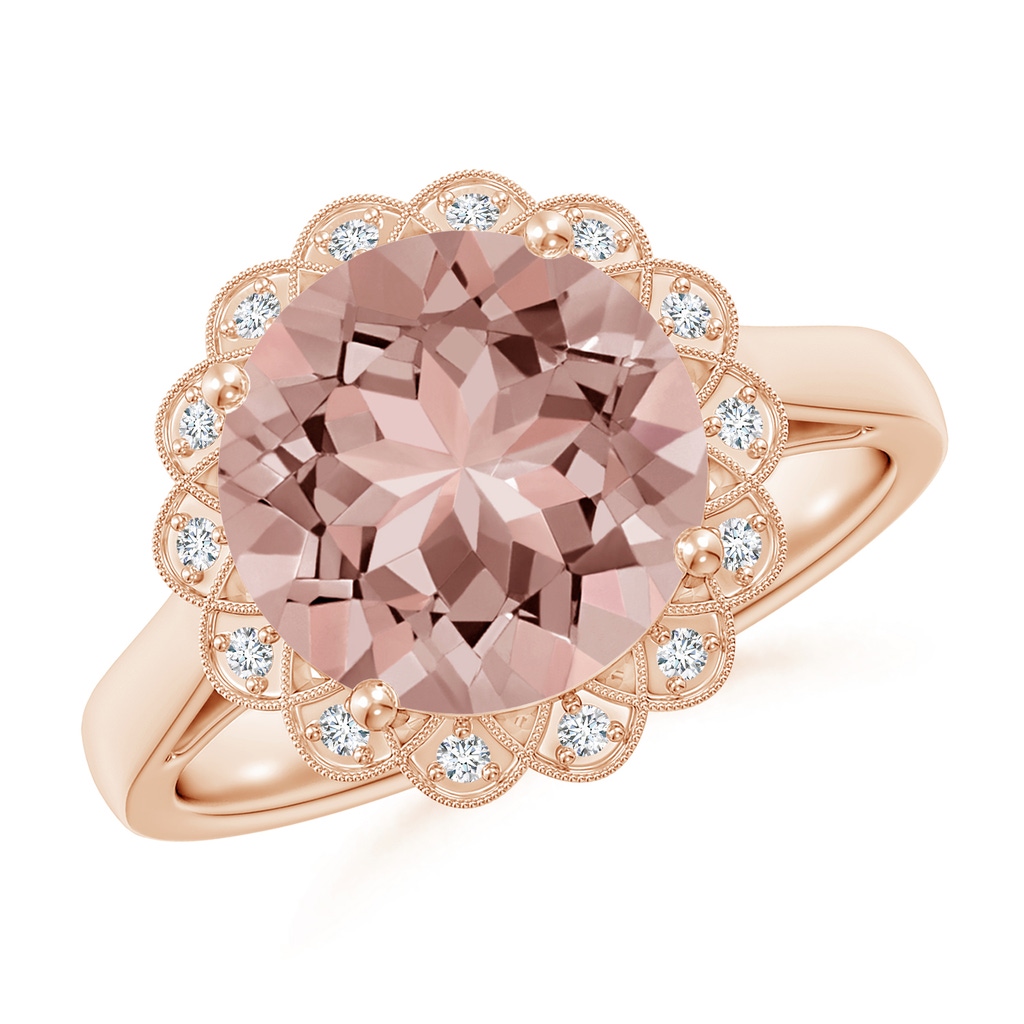 10mm AAAA Round Morganite Scalloped Halo Ring in Rose Gold