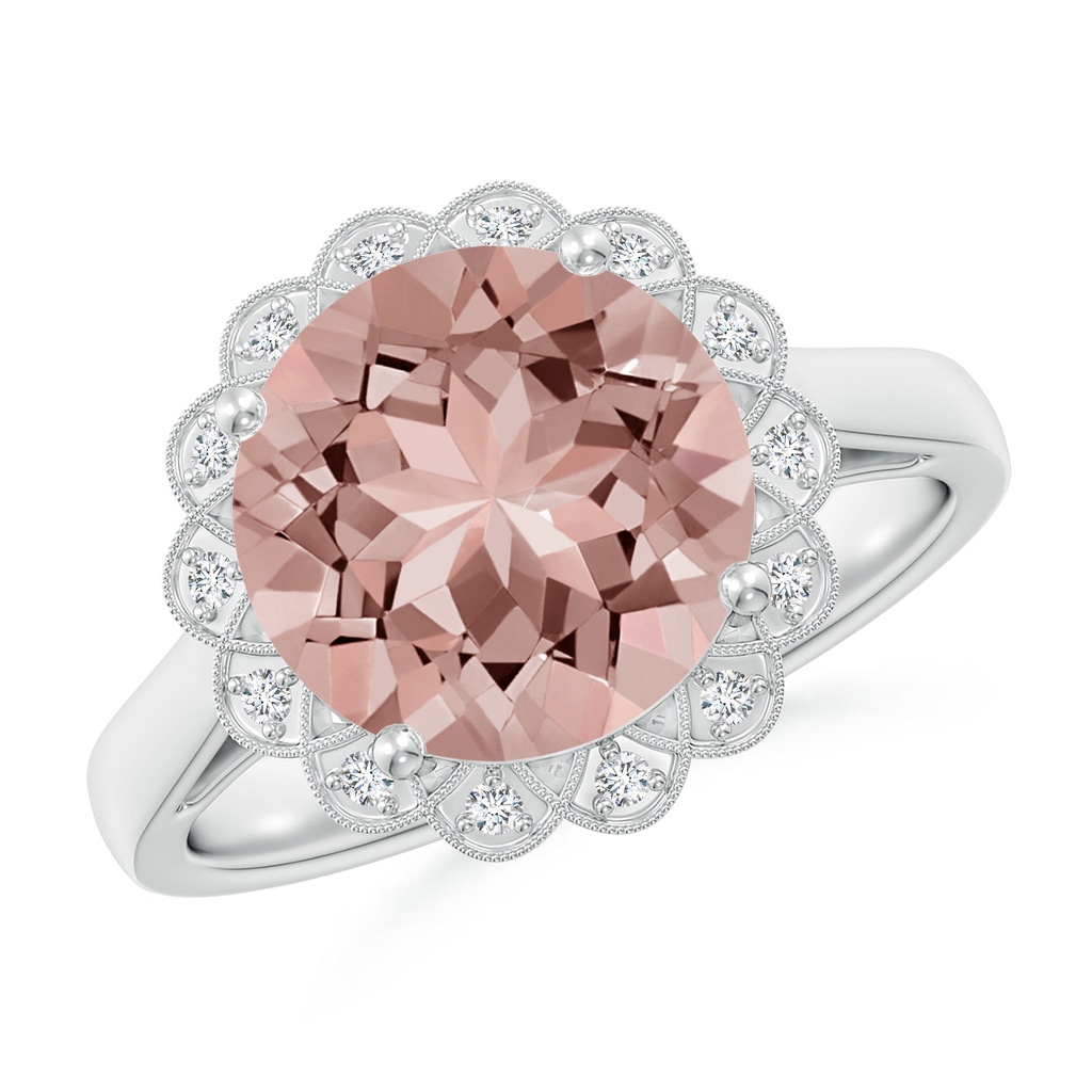 10mm AAAA Round Morganite Scalloped Halo Ring in White Gold