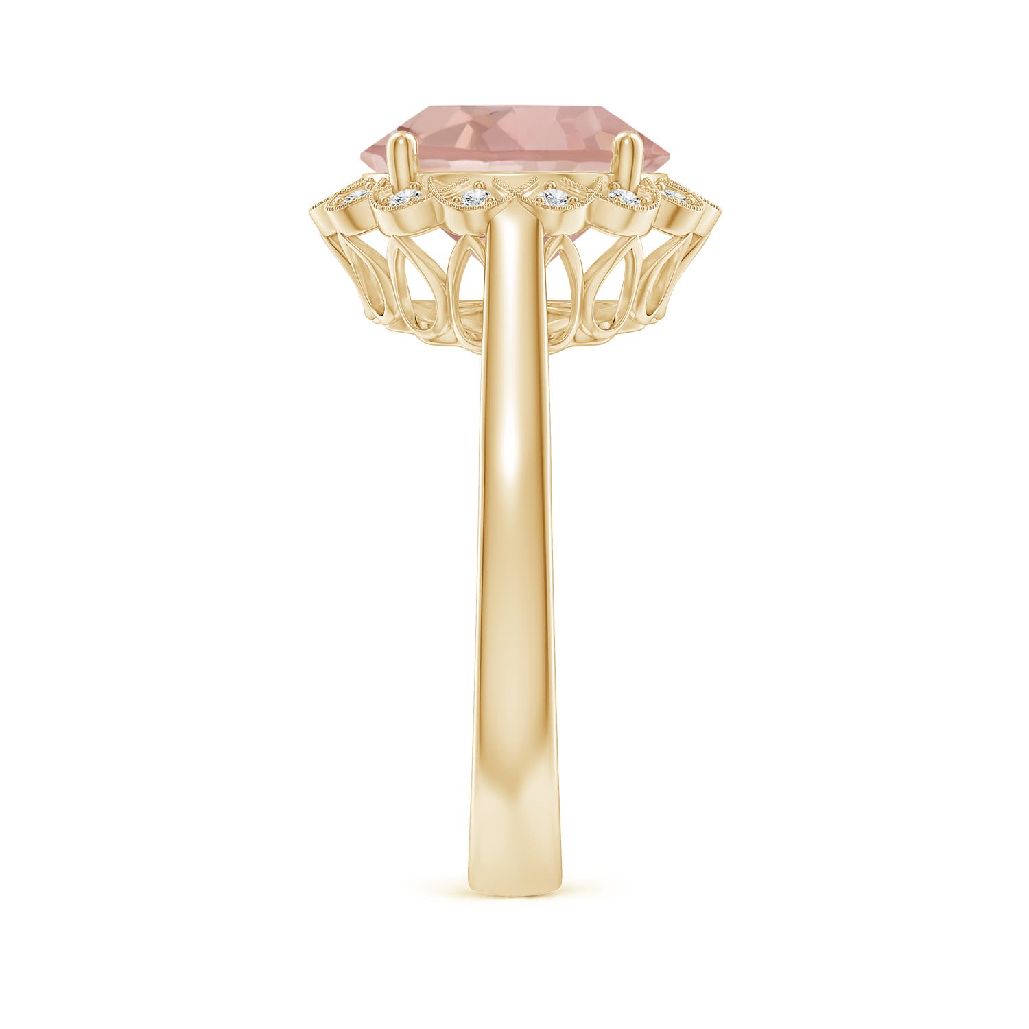 AAAA - Morganite / 3.48 CT / 14 KT Yellow Gold