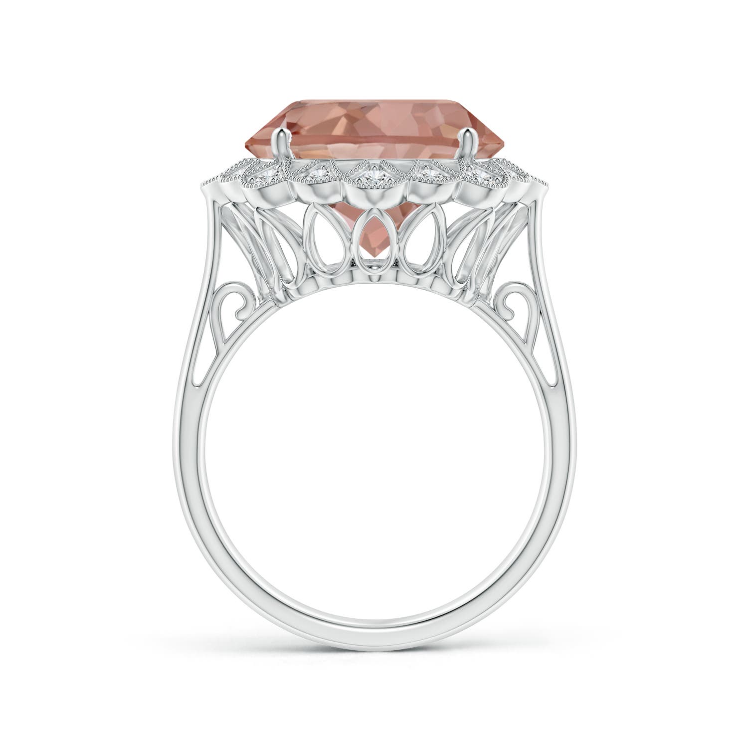 12.78-12.91x7.63mm AAAA GIA Certified Morganite Scalloped Halo Ring in 18CT White Gold - side 2