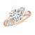 2 1/2 carats