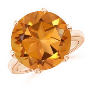 14mm AAAA Six Prong-Set Round Citrine Cocktail Ring in 9K Rose Gold