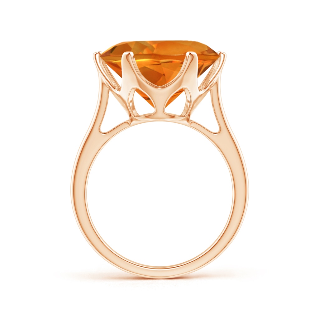14mm AAAA Six Prong-Set Round Citrine Cocktail Ring in Rose Gold Product Image