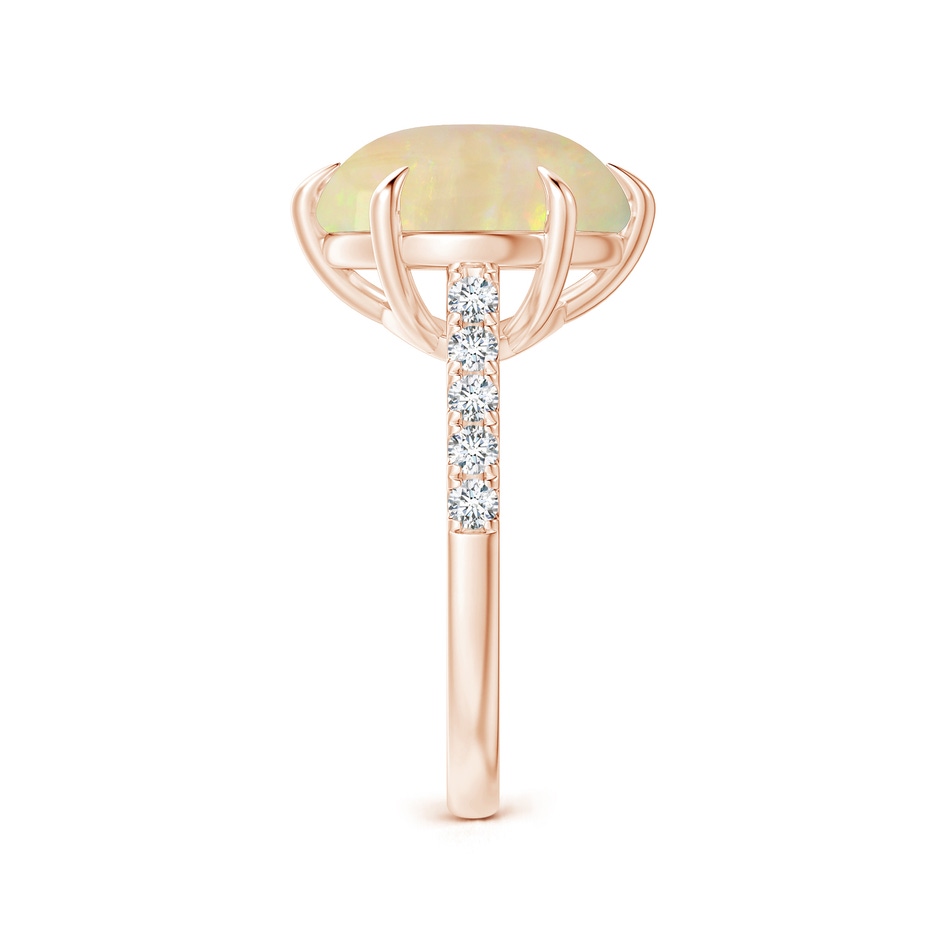 16.41x11.14x5.82mm AAAA East-West GIA Certified Oval Opal Solitaire Ring in Rose Gold side 499