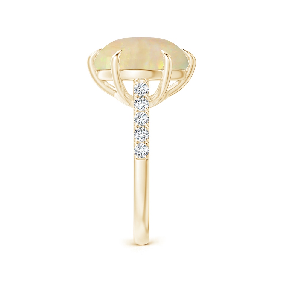 16.41x11.14x5.82mm AAAA East-West GIA Certified Oval Opal Solitaire Ring in Yellow Gold side 499