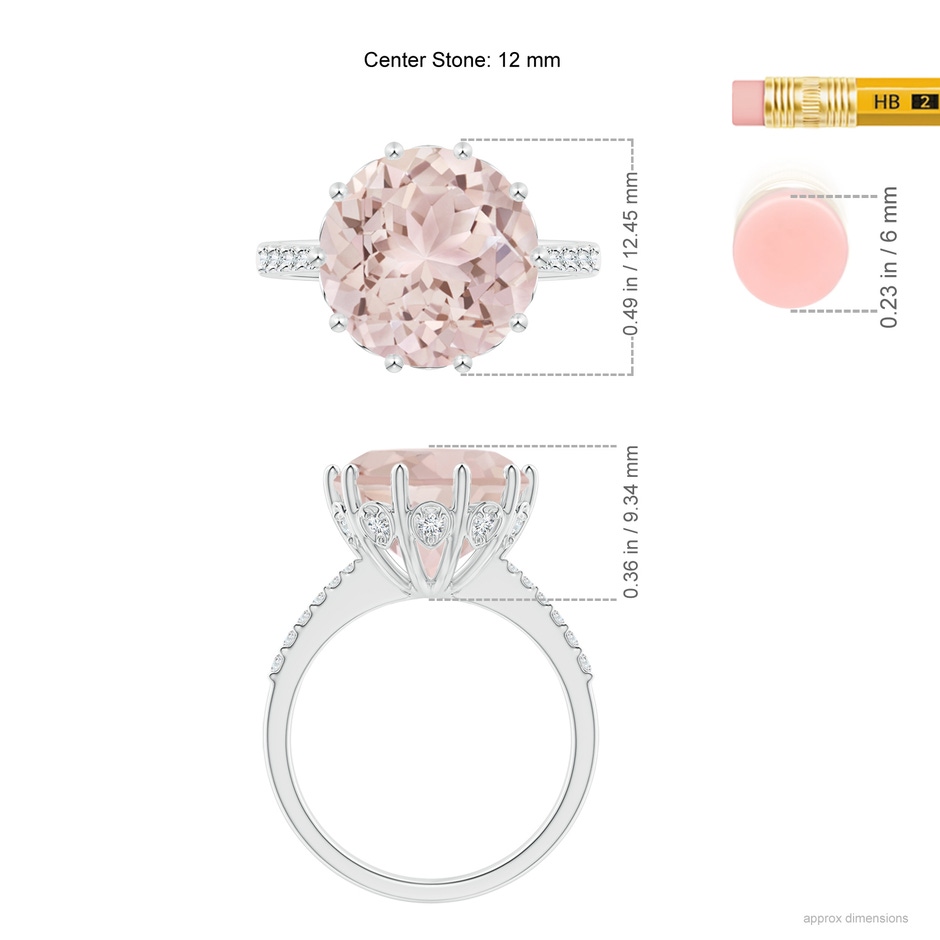 12mm A Round Morganite Reverse Tapered Shank Cocktail Ring in P950 Platinum ruler