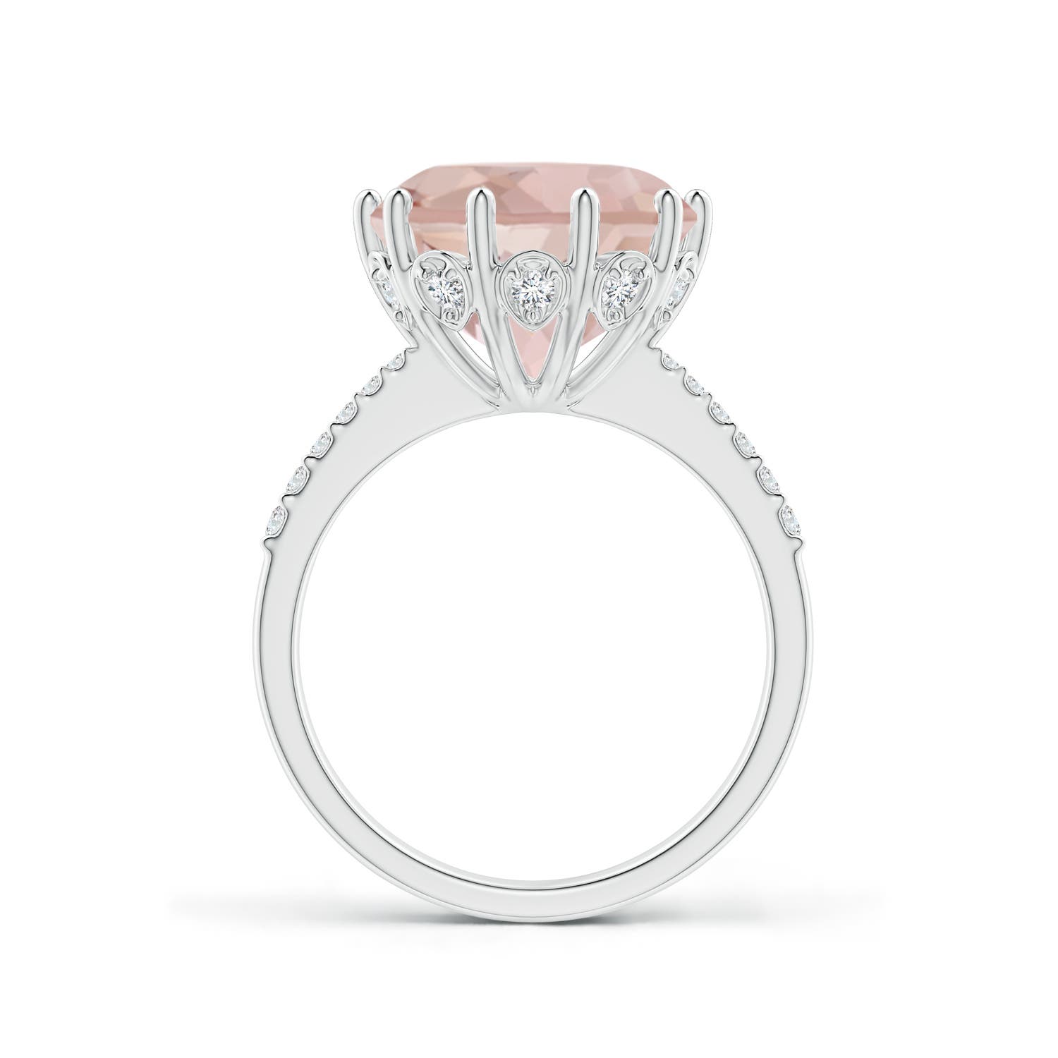 AA - Morganite / 5.37 CT / 14 KT White Gold