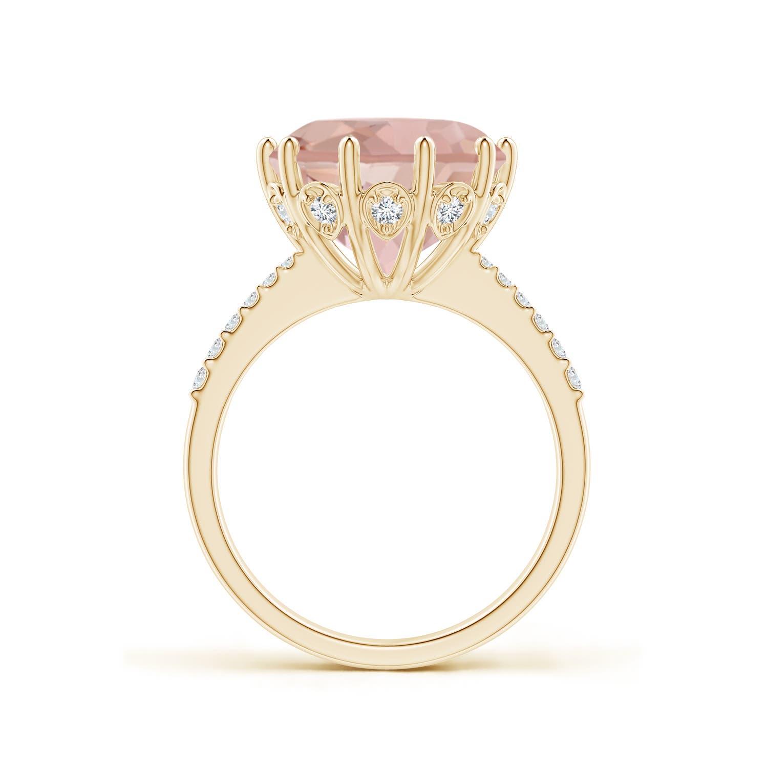 AAA - Morganite / 5.37 CT / 14 KT Yellow Gold