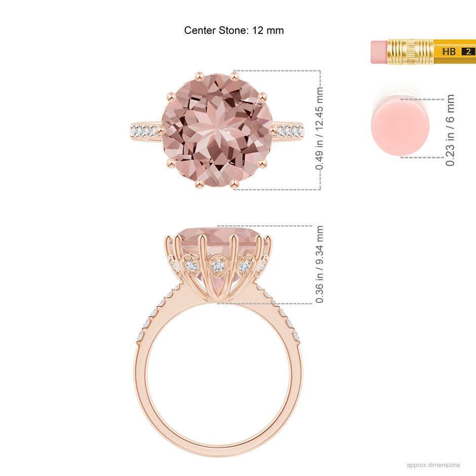12mm AAAA Round Morganite Reverse Tapered Shank Cocktail Ring in Rose Gold ruler