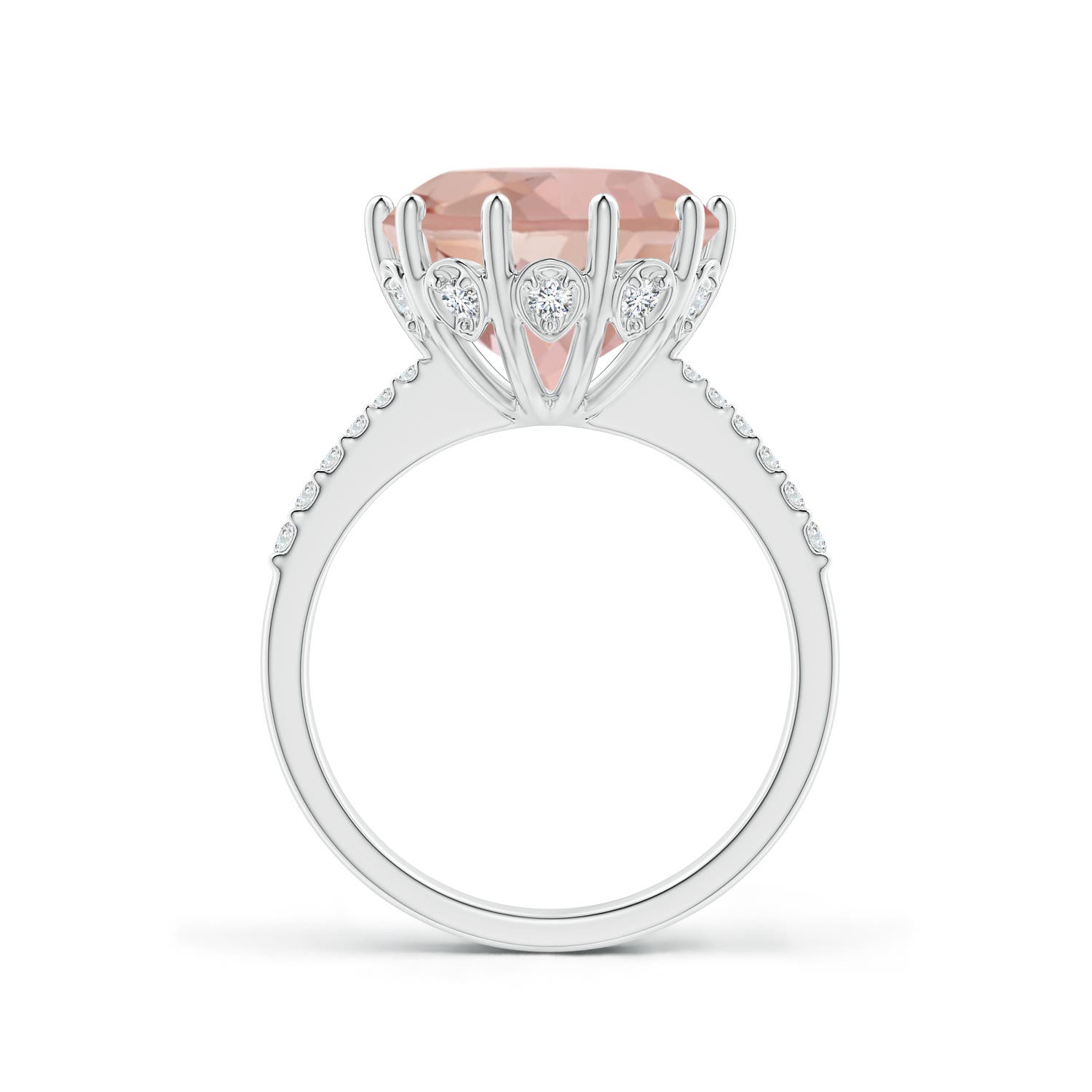 AAAA - Morganite / 5.37 CT / 14 KT White Gold