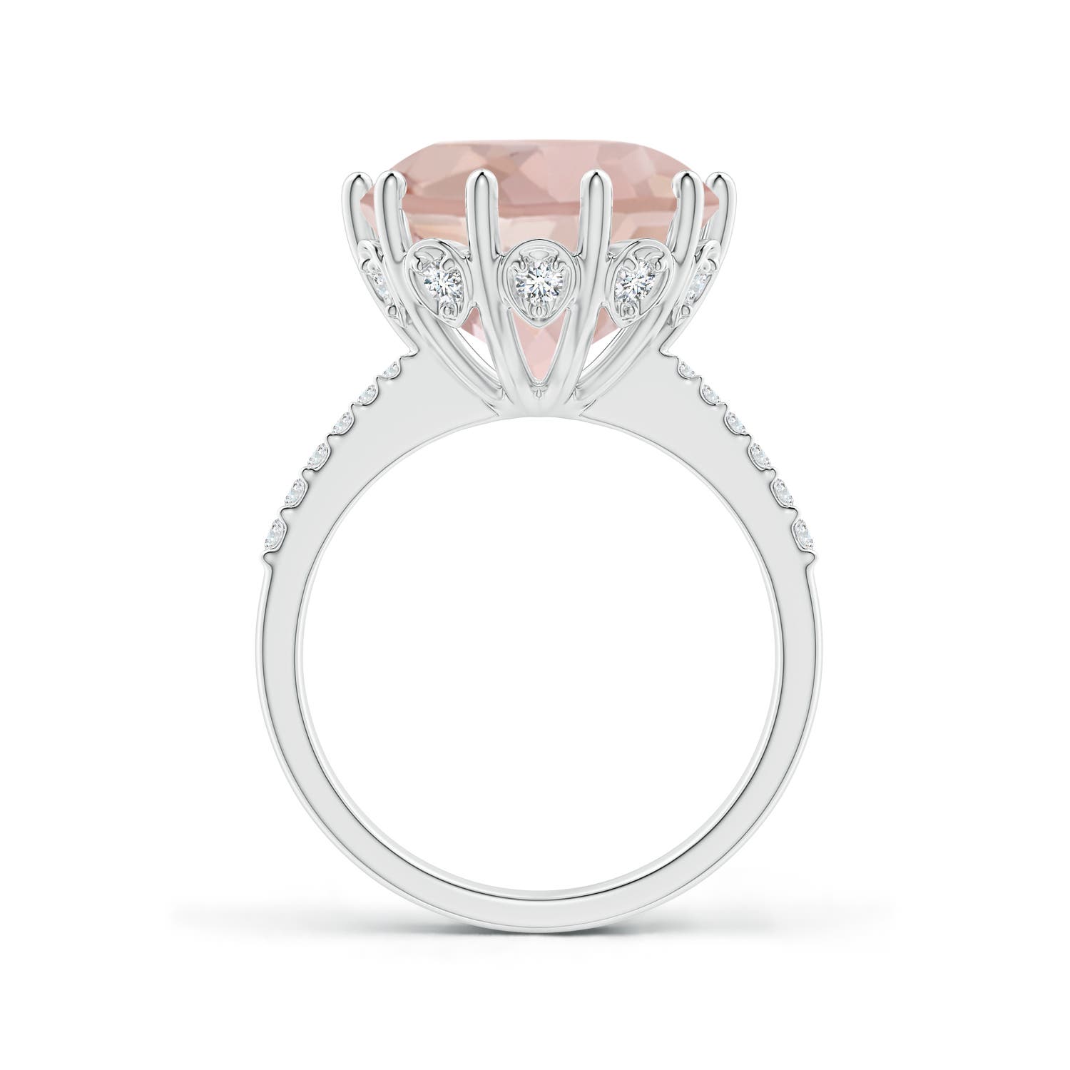 AA - Morganite / 6.82 CT / 14 KT White Gold