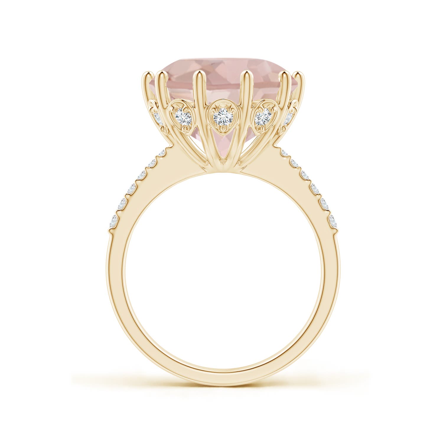 AA - Morganite / 6.82 CT / 14 KT Yellow Gold