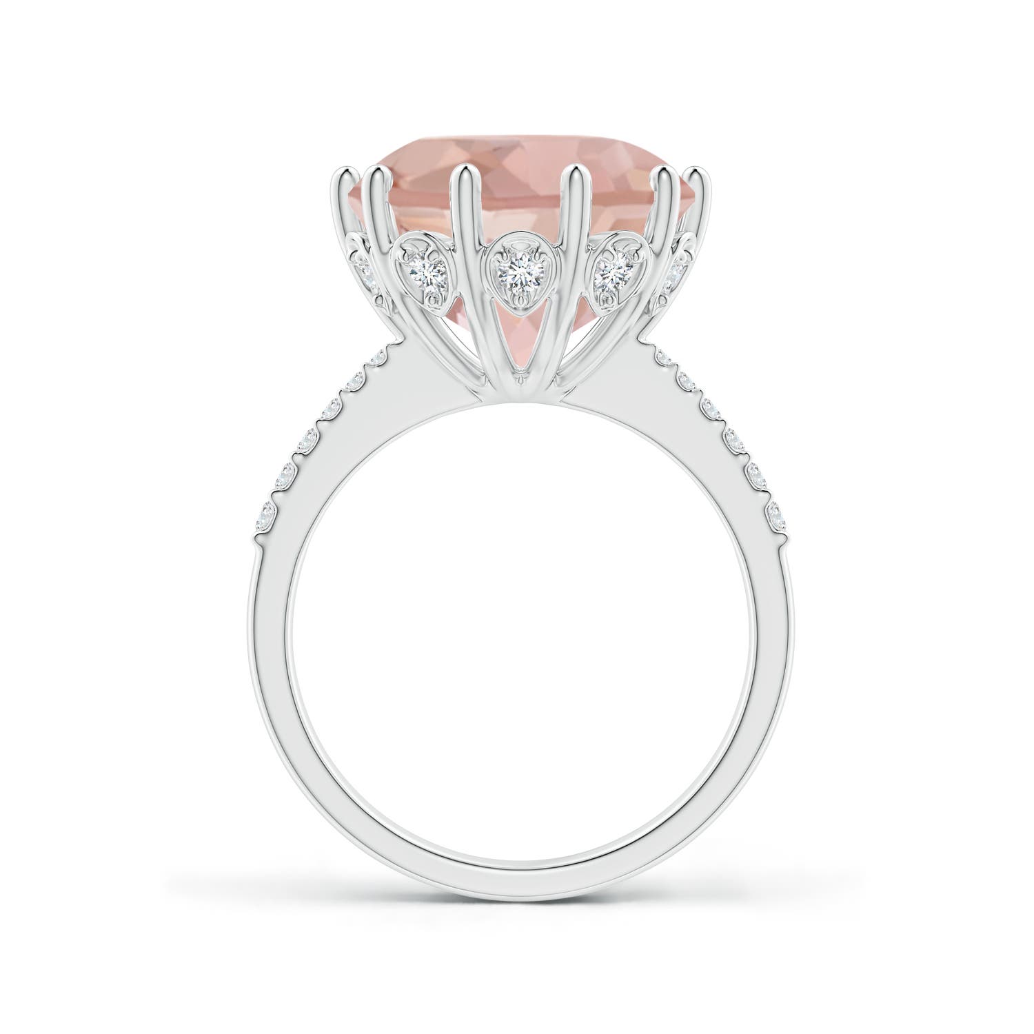 AAA - Morganite / 6.82 CT / 14 KT White Gold