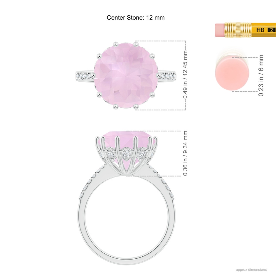 12mm AAA Round Rose Quartz Reverse Tapered Shank Cocktail Ring in White Gold ruler