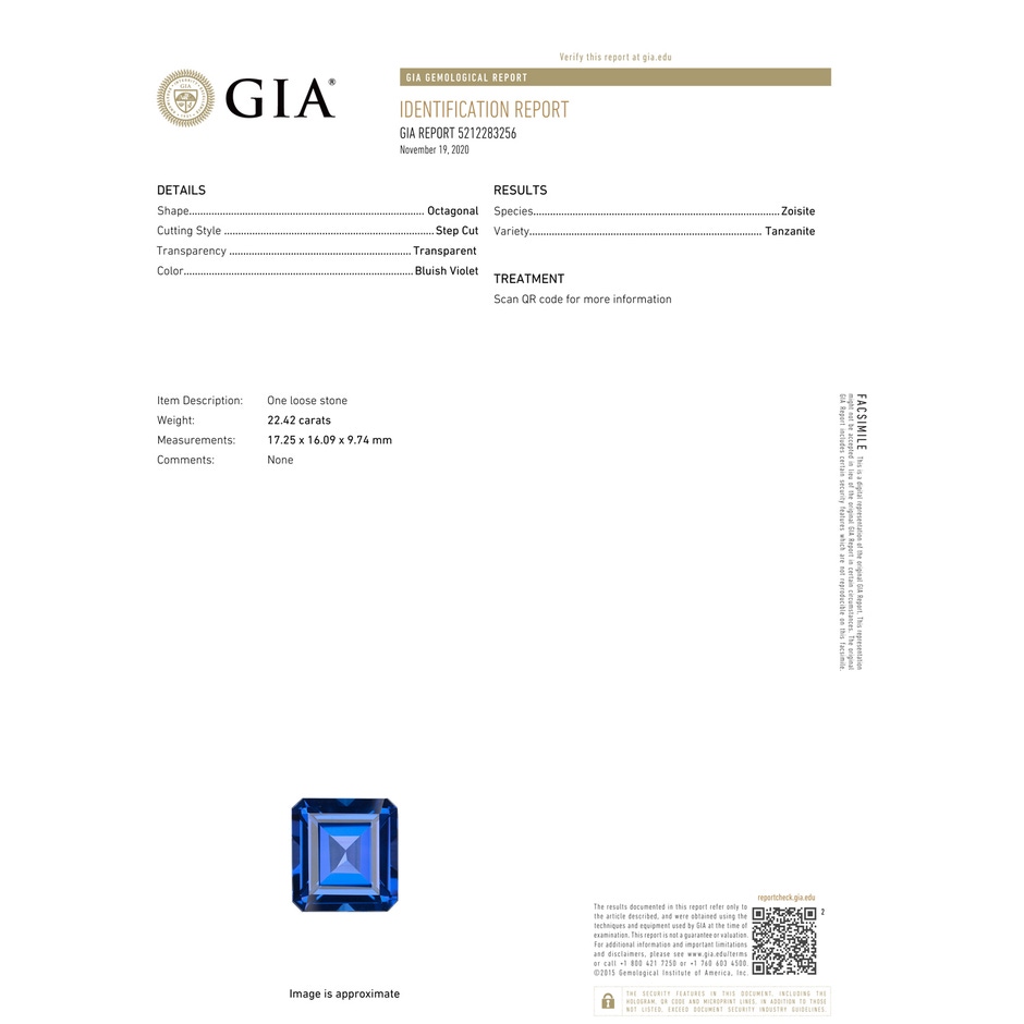 17.25x16.09x9.74mm AAAA GIA Certified Octagonal Tanzanite Halo Ring with Milgrain in 18K White Gold gia-cert