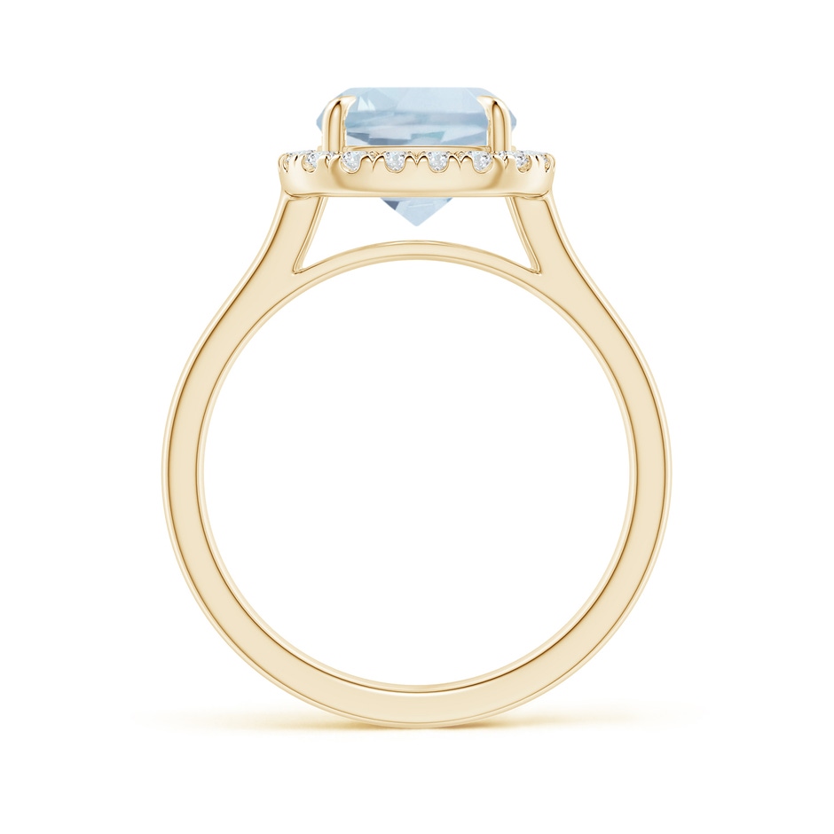 10x8mm A Claw-Set Cushion Rectangular Aquamarine Cathedral Style Cocktail Ring in Yellow Gold side 1