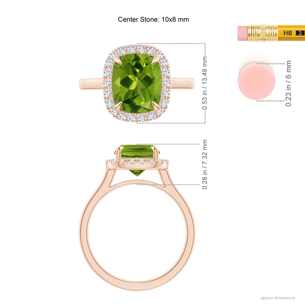 10x8mm AAAA Claw-Set Cushion Peridot Cathedral Style Cocktail Ring in Rose Gold Ruler