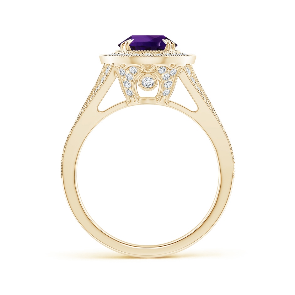 9.19x7.13x4.78mm AA GIA Certified Classic Amethyst Split Shank Halo Ring in Yellow Gold side 199