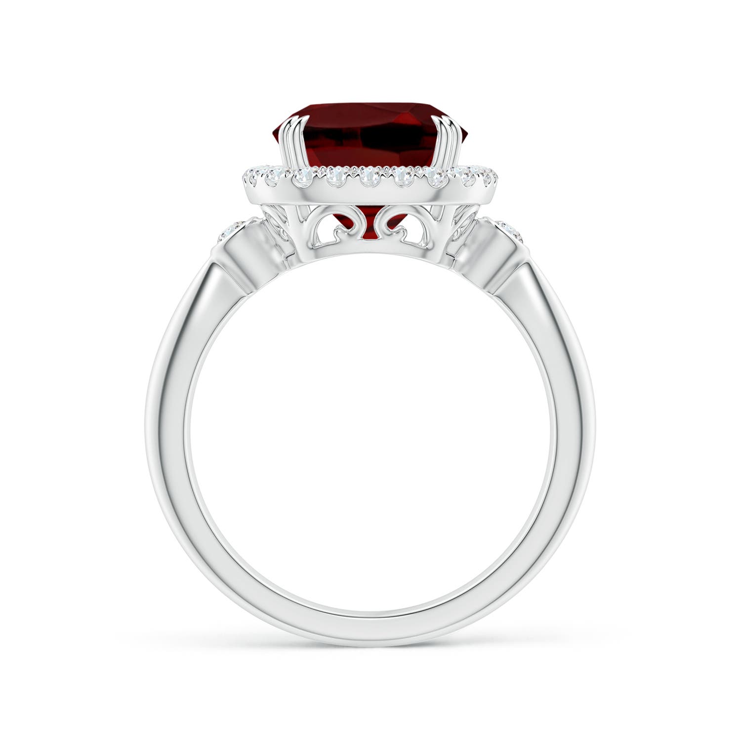 AAAA - Garnet / 3.91 CT / 14 KT White Gold