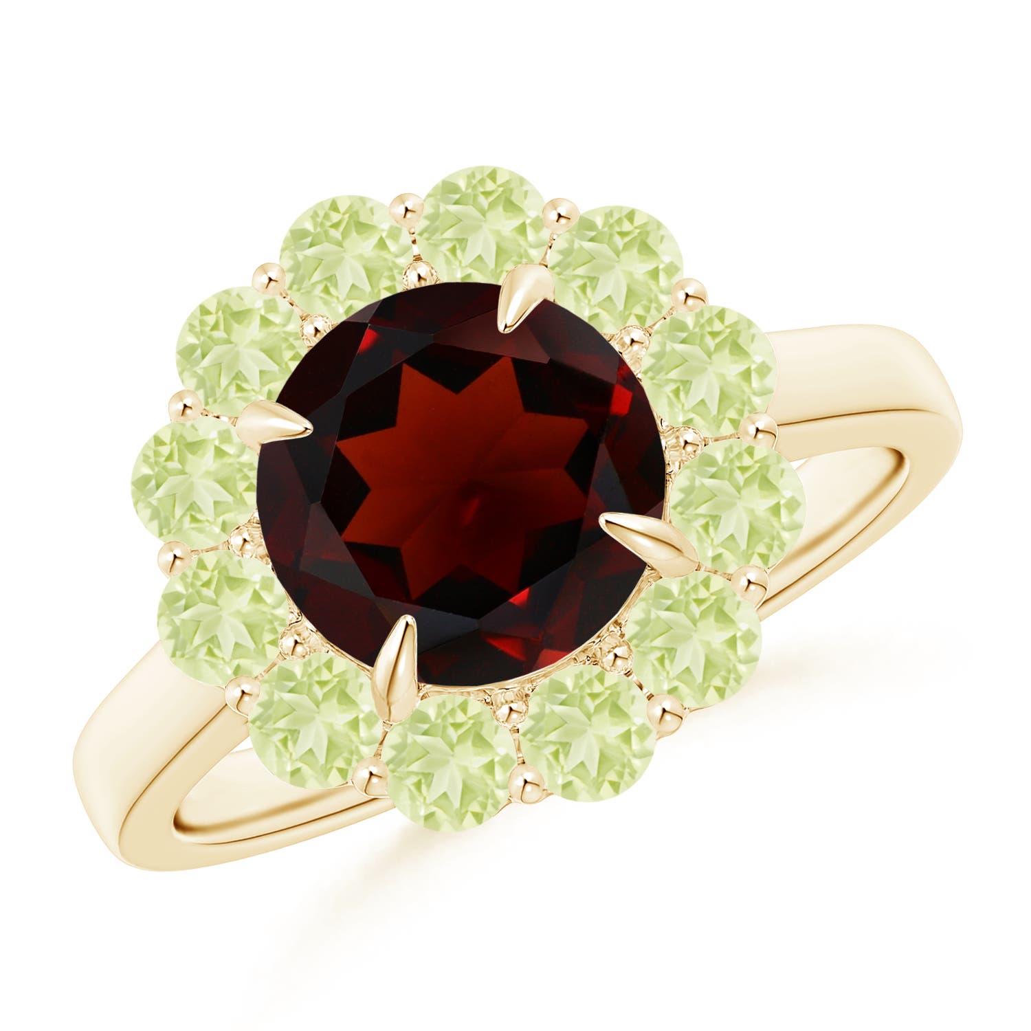 AA - Garnet / 3.04 CT / 14 KT Yellow Gold