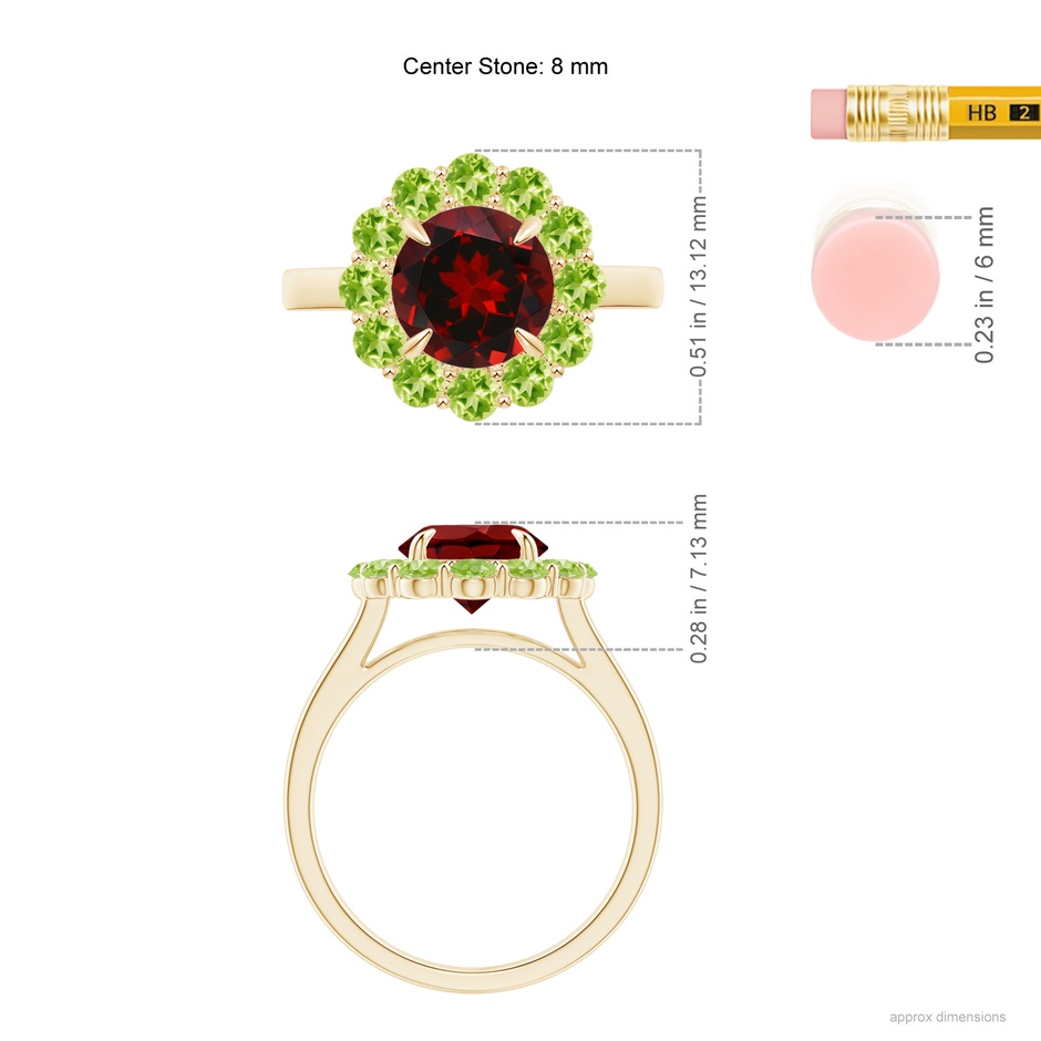 8mm AAAA Garnet & Peridot Floral Halo Cocktail Ring in Yellow Gold ruler