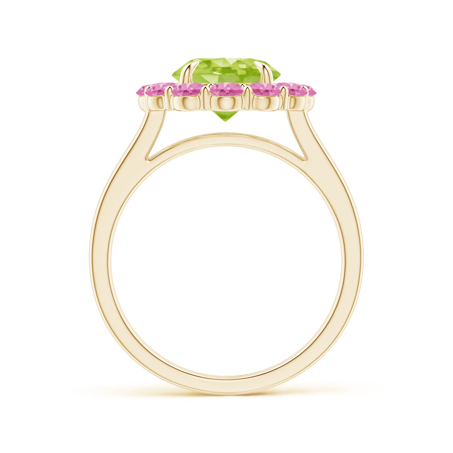 AA - Peridot / 3.02 CT / 14 KT Yellow Gold