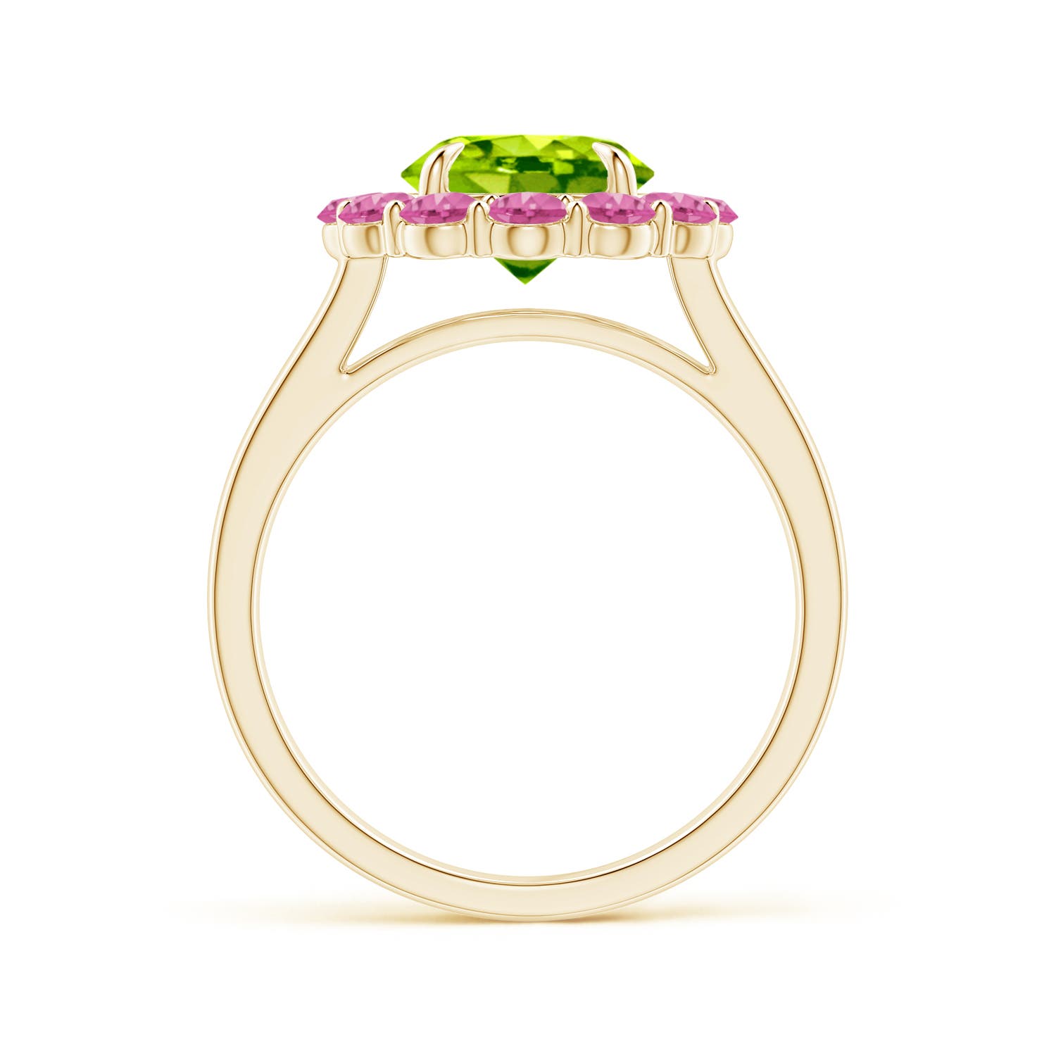 AAA - Peridot / 3.02 CT / 14 KT Yellow Gold