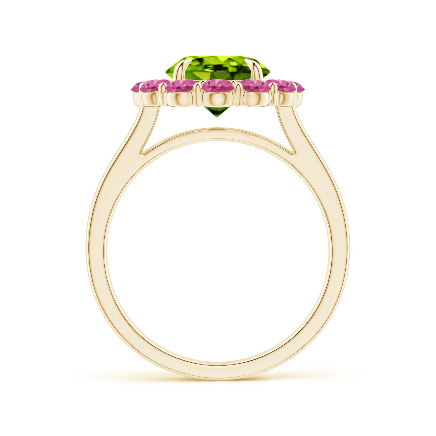 AAAA - Peridot / 3.02 CT / 14 KT Yellow Gold