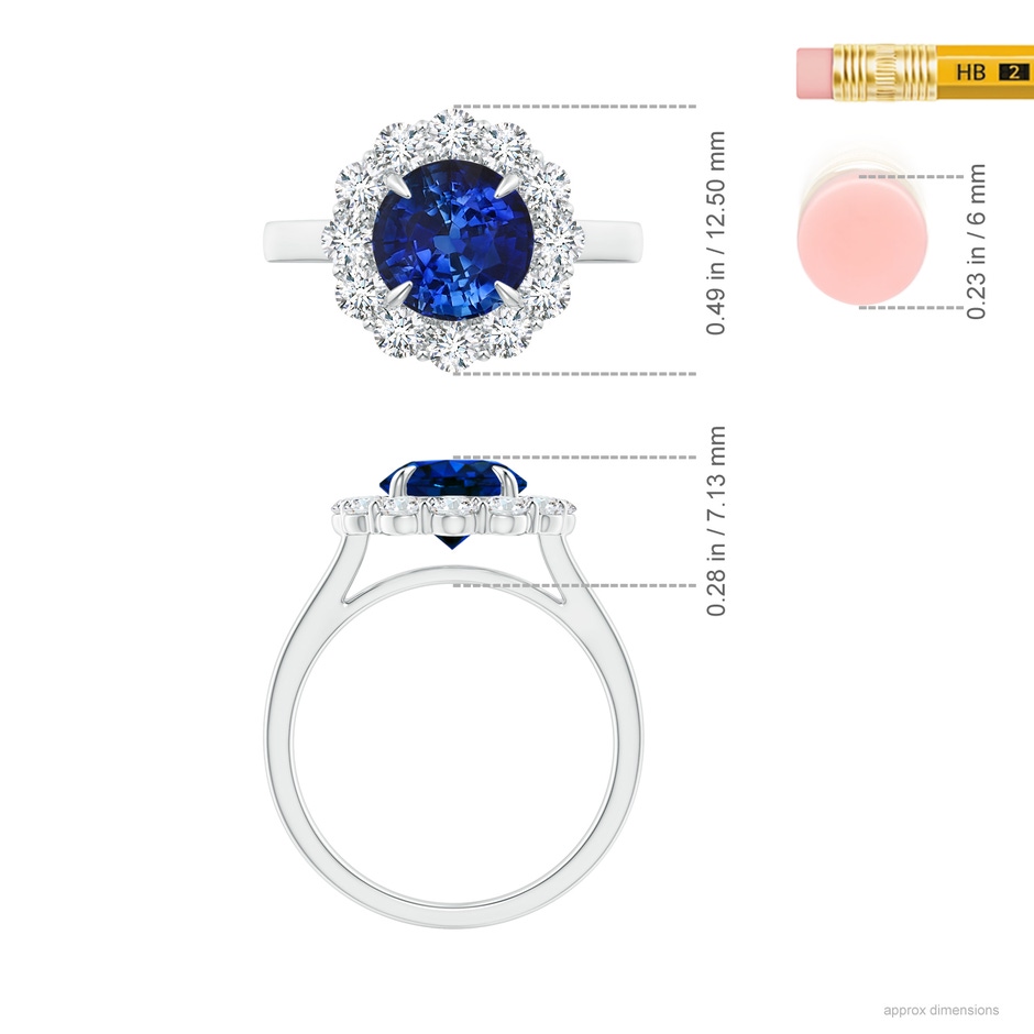 7.51-7.59x5.29mm AAA Vintage Style GIA Certified Blue Sapphire Floral Halo Ring in White Gold ruler