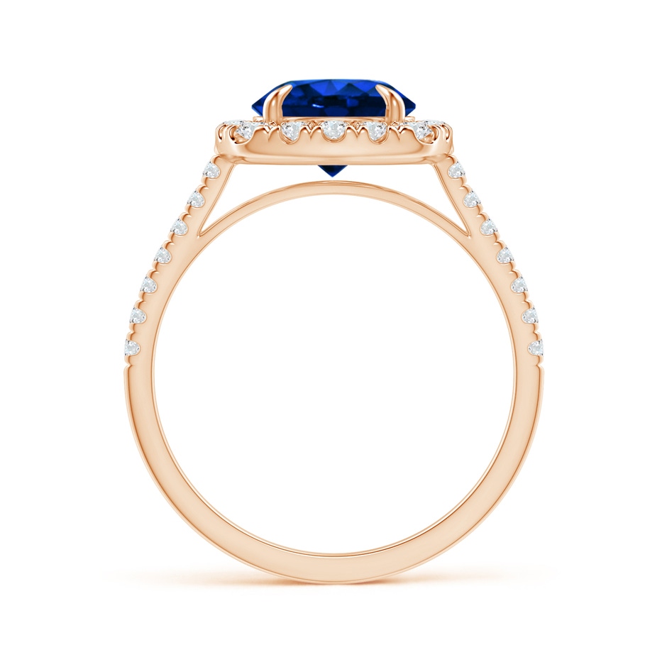 7.86-7.95x5.54mm AAA Classic GIA Certified Sapphire Cushion Halo Ring in Rose Gold side 199