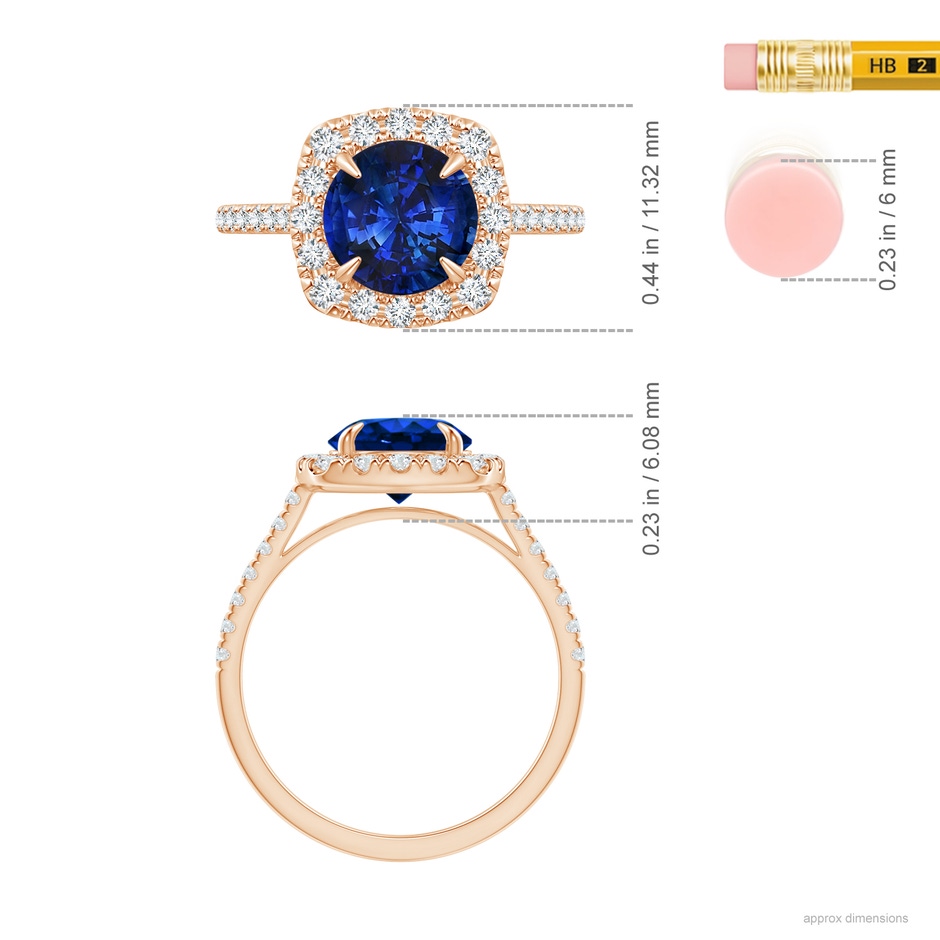 7.86-7.95x5.54mm AAA Classic GIA Certified Sapphire Cushion Halo Ring in Rose Gold ruler