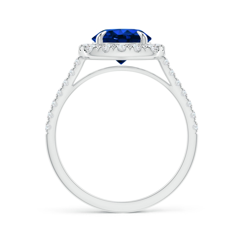 7.86-7.95x5.54mm AAA Classic GIA Certified Sapphire Cushion Halo Ring in White Gold Side 1