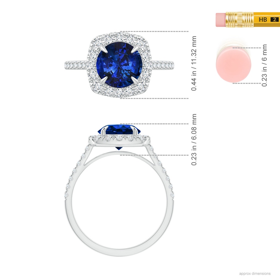 7.86-7.95x5.54mm AAA Classic GIA Certified Sapphire Cushion Halo Ring in White Gold Ruler