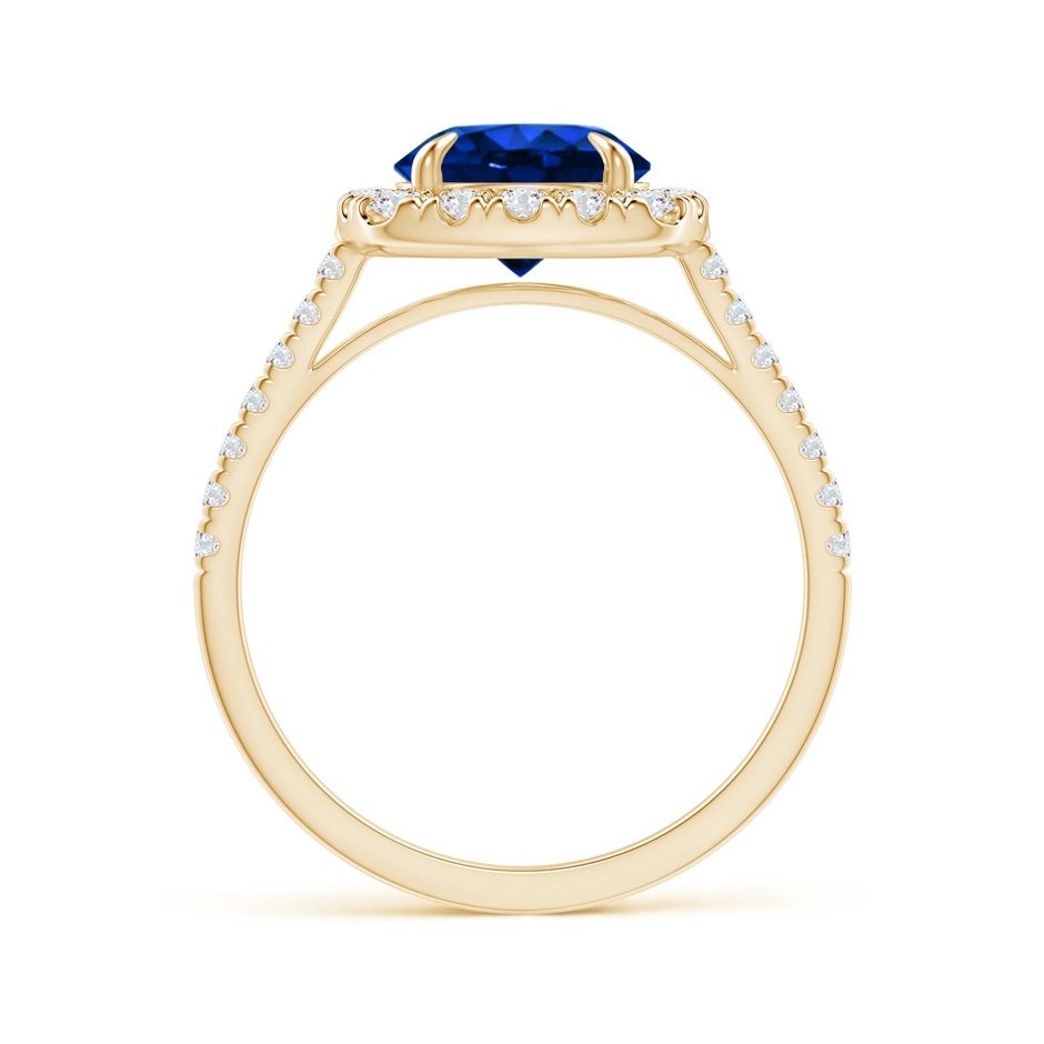 7.86-7.95x5.54mm AAA Classic GIA Certified Sapphire Cushion Halo Ring in Yellow Gold side 199