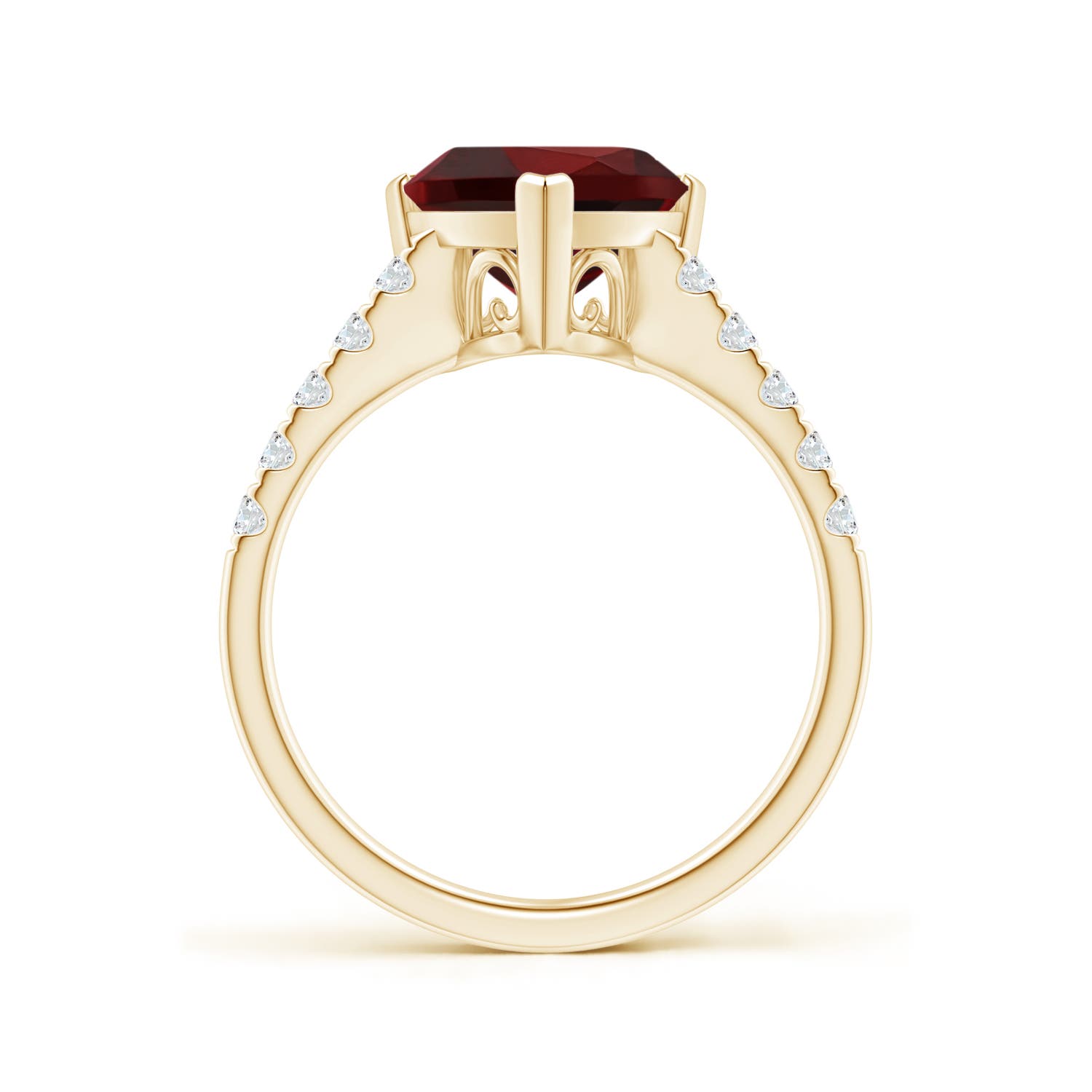 AAA - Garnet / 3.05 CT / 14 KT Yellow Gold