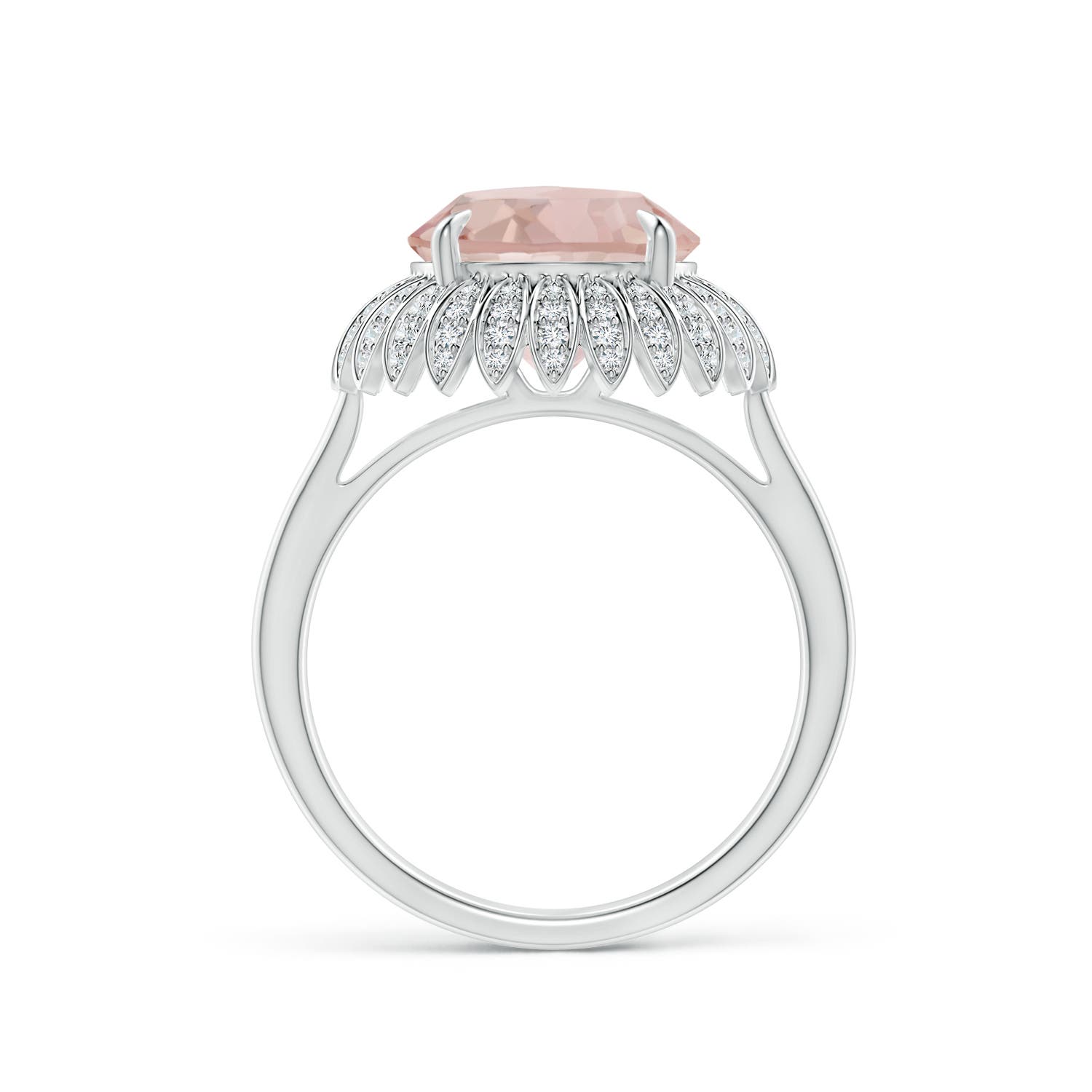 AA - Morganite / 3.69 CT / 14 KT White Gold