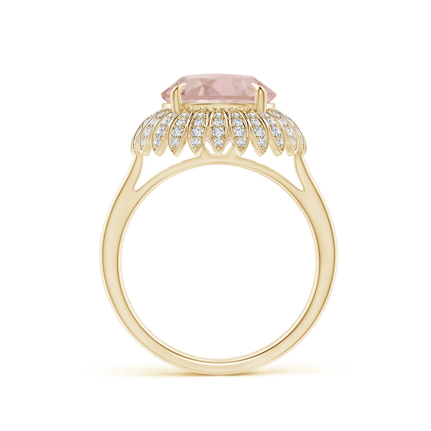 AA - Morganite / 3.69 CT / 14 KT Yellow Gold