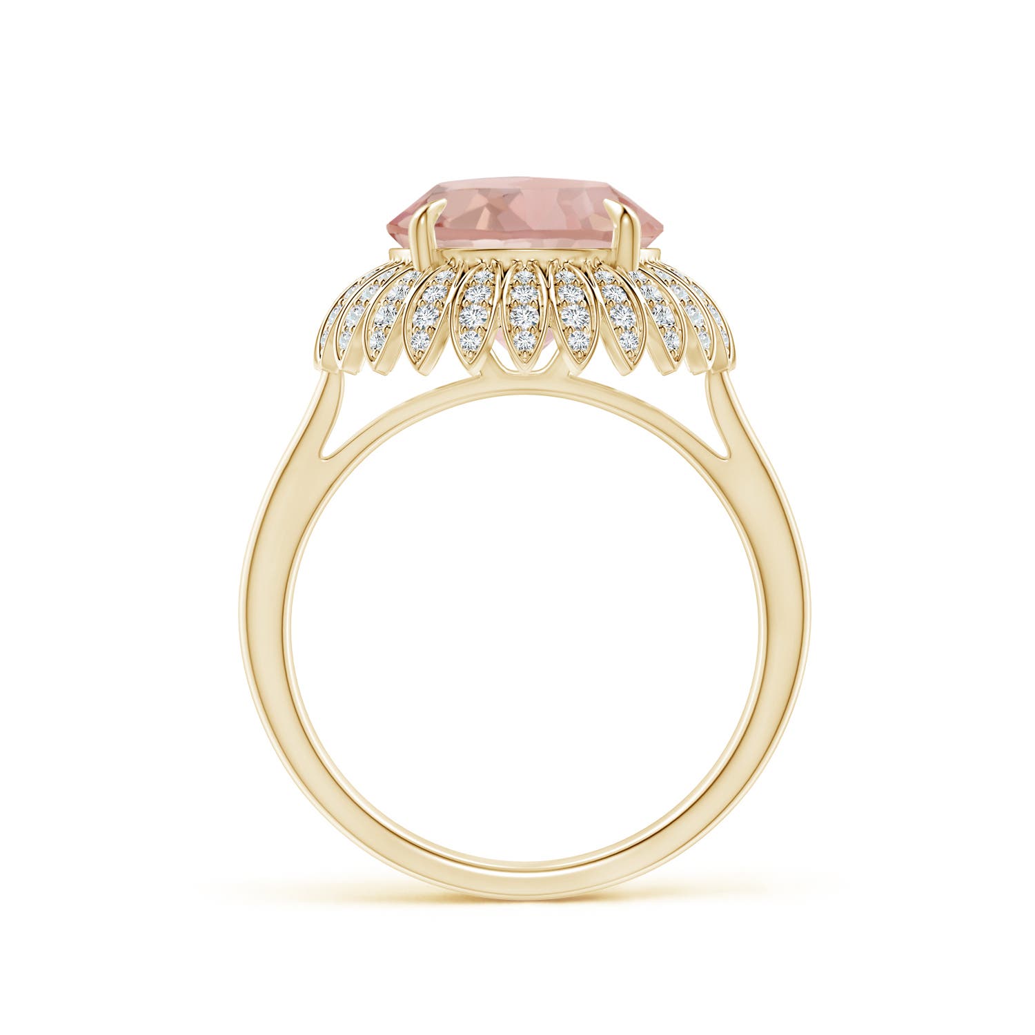 AAA - Morganite / 3.69 CT / 14 KT Yellow Gold