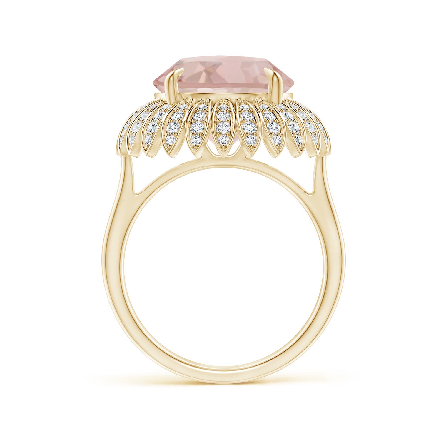 AA - Morganite / 5.58 CT / 14 KT Yellow Gold