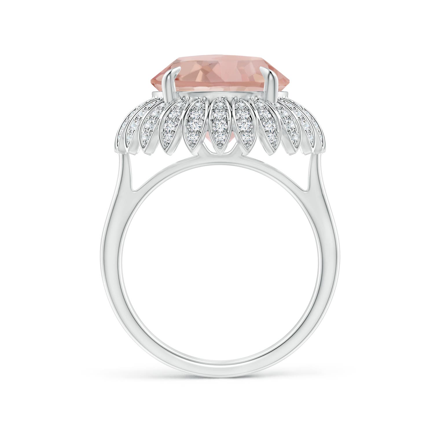 AAA - Morganite / 5.58 CT / 14 KT White Gold