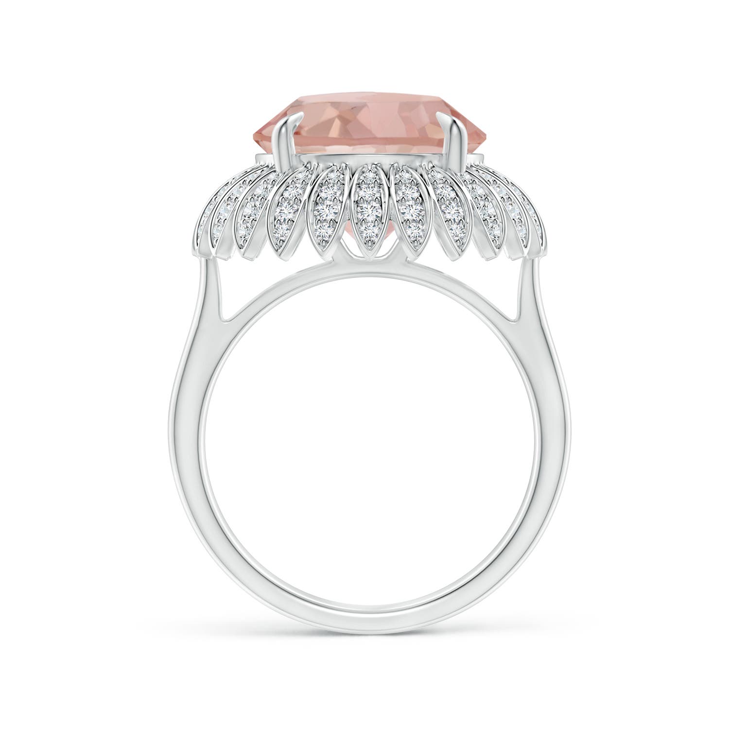 AAAA - Morganite / 5.58 CT / 14 KT White Gold