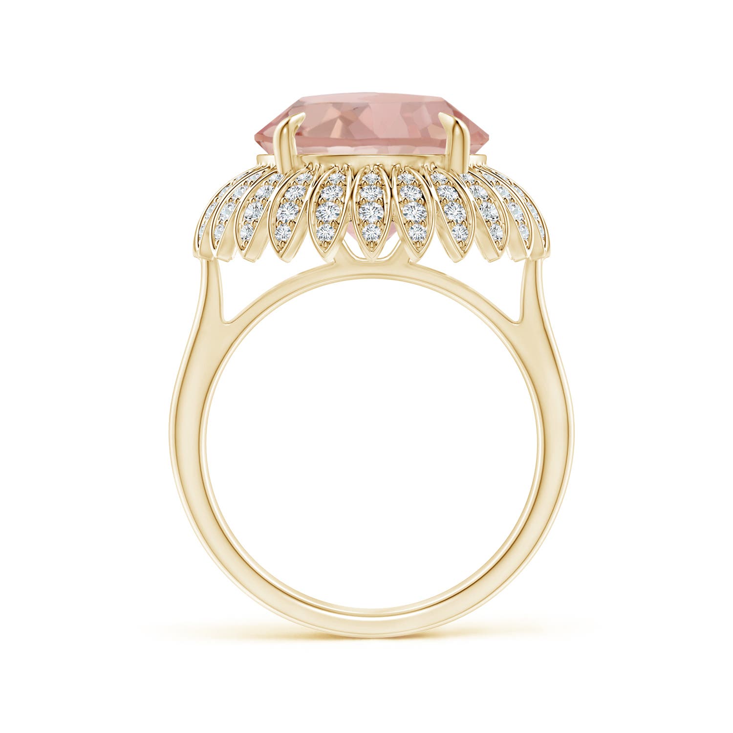 AAAA - Morganite / 5.58 CT / 14 KT Yellow Gold