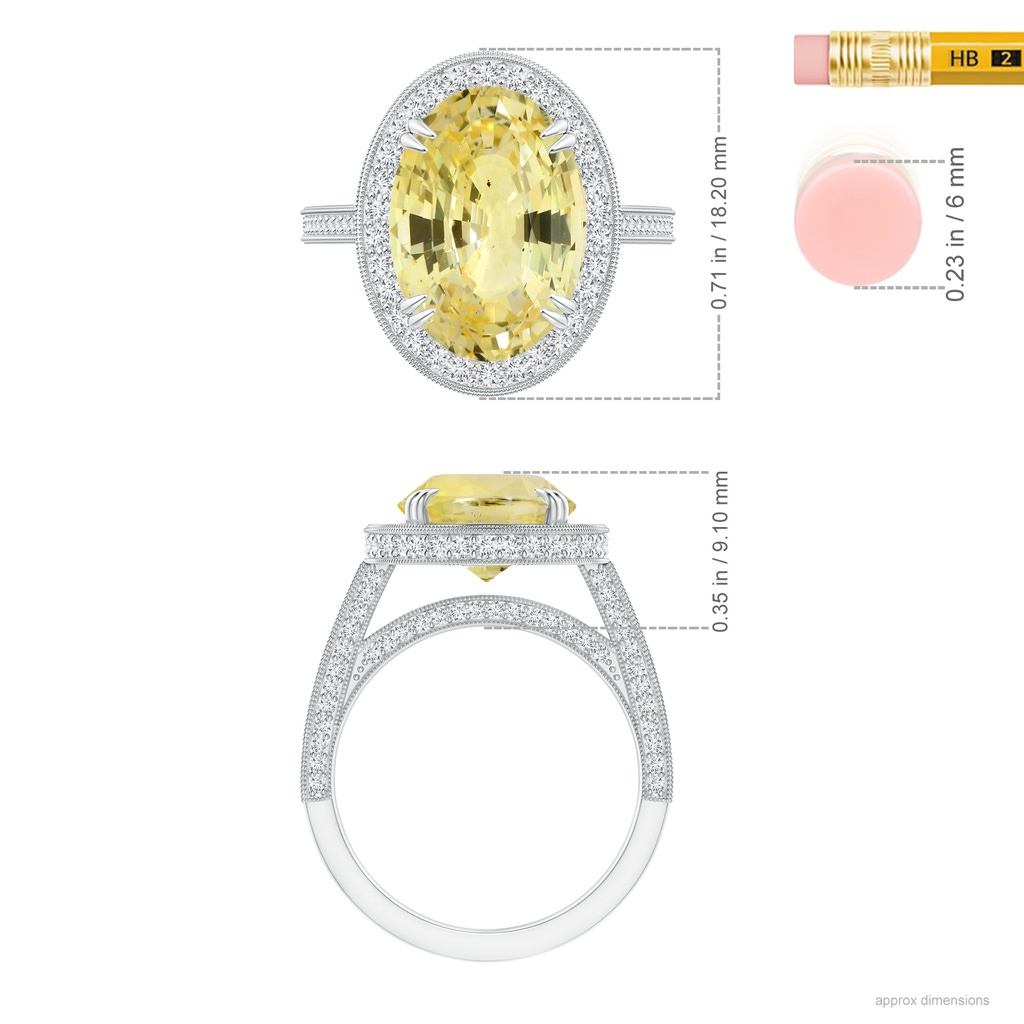13.60x10.18x6.84mm AAA GIA Certified Oval Yellow Sapphire Halo Ring with Milgrain in 18K White Gold Ruler