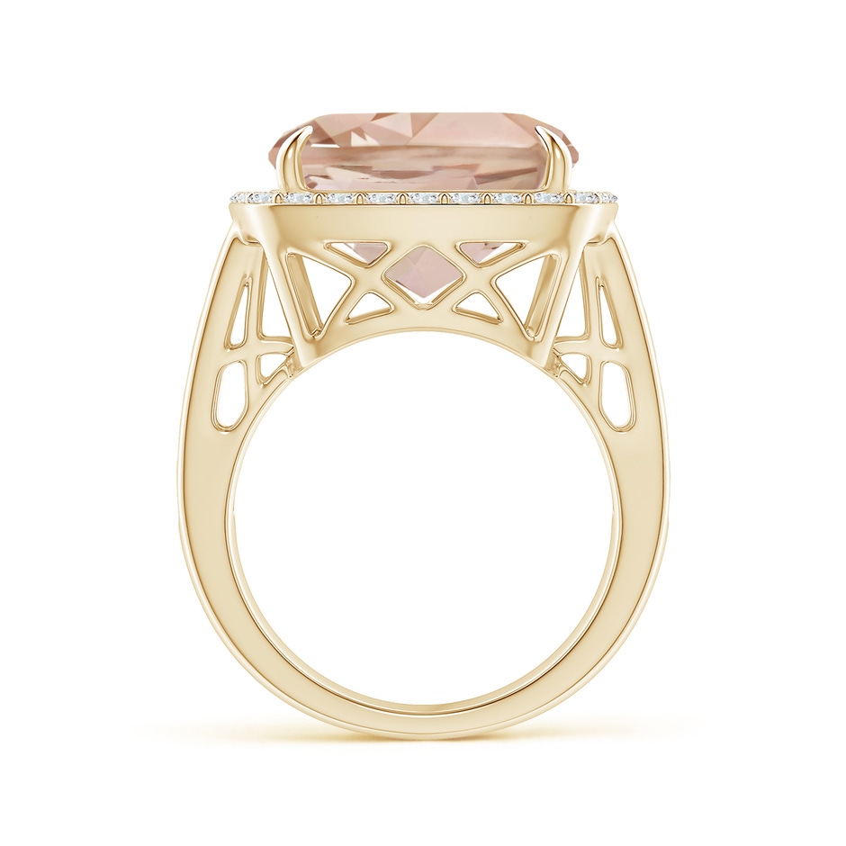 13.95x13.89x8.07mm AAA Cushion GIA Certified Morganite Halo Ring in Yellow Gold side 199