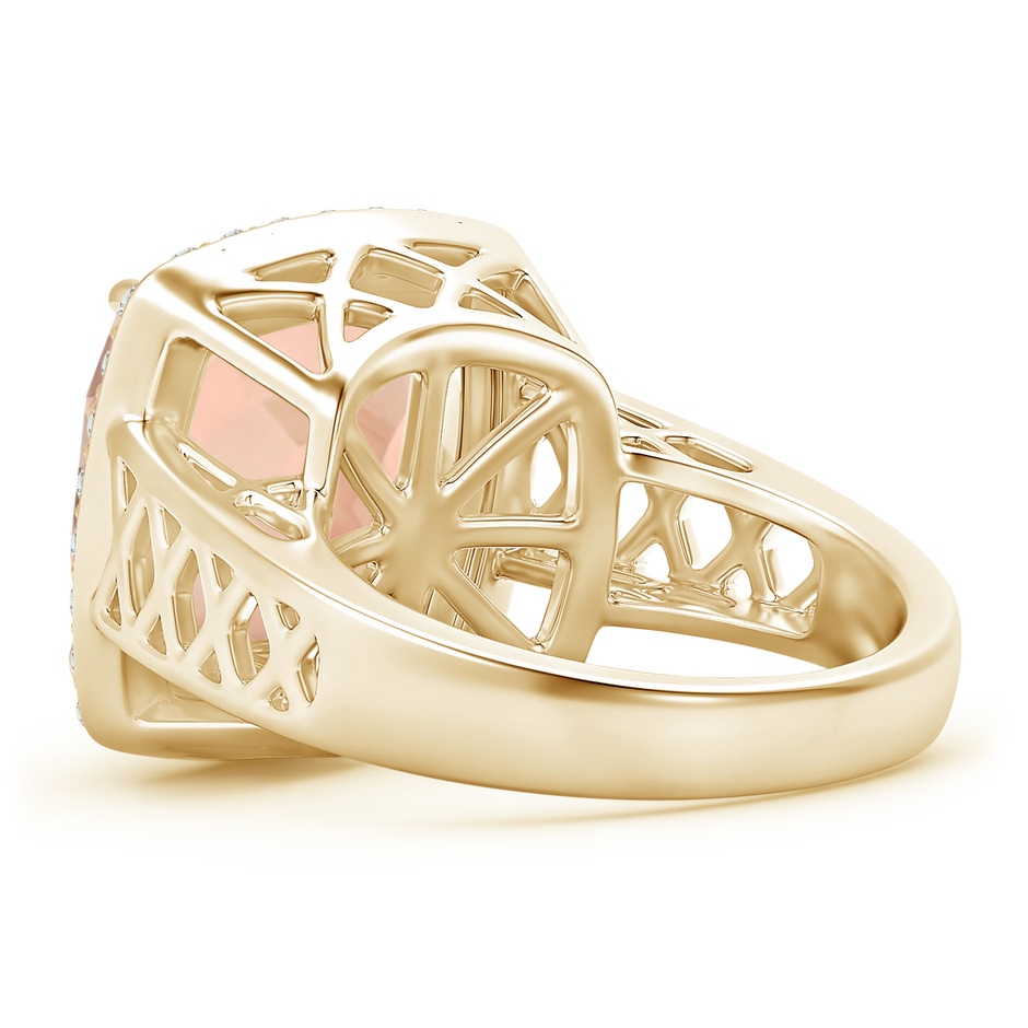 13.95x13.89x8.07mm AAA Cushion GIA Certified Morganite Halo Ring in Yellow Gold side 399