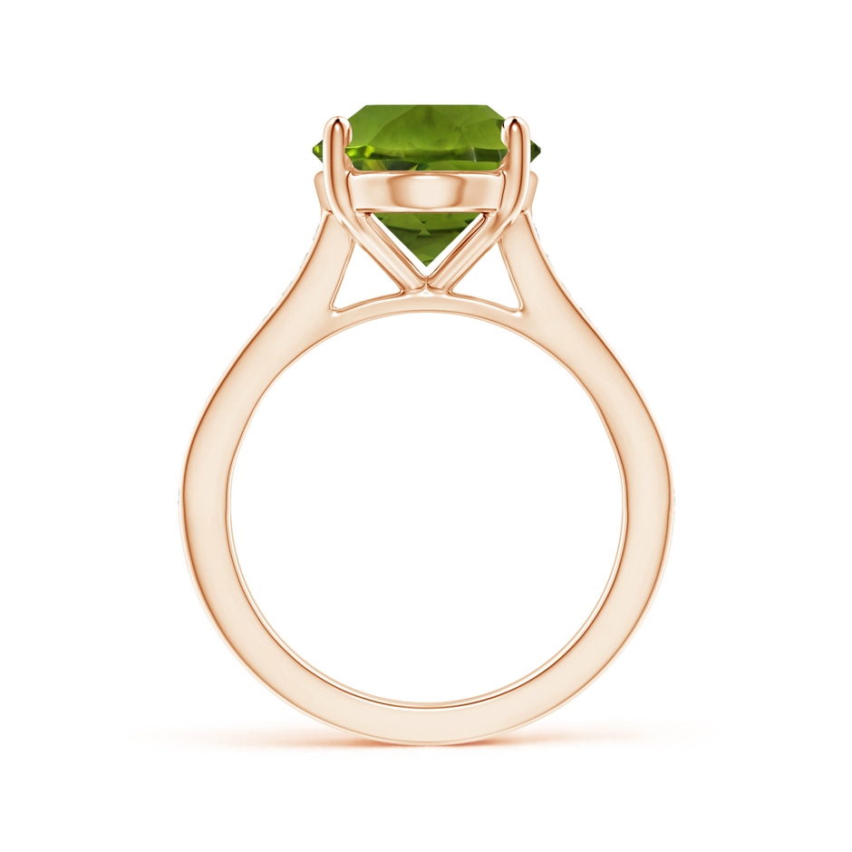 11.03x8.92x5.66mm AAA GIA Certified Classic Oval Peridot Solitaire Ring in Rose Gold side 399