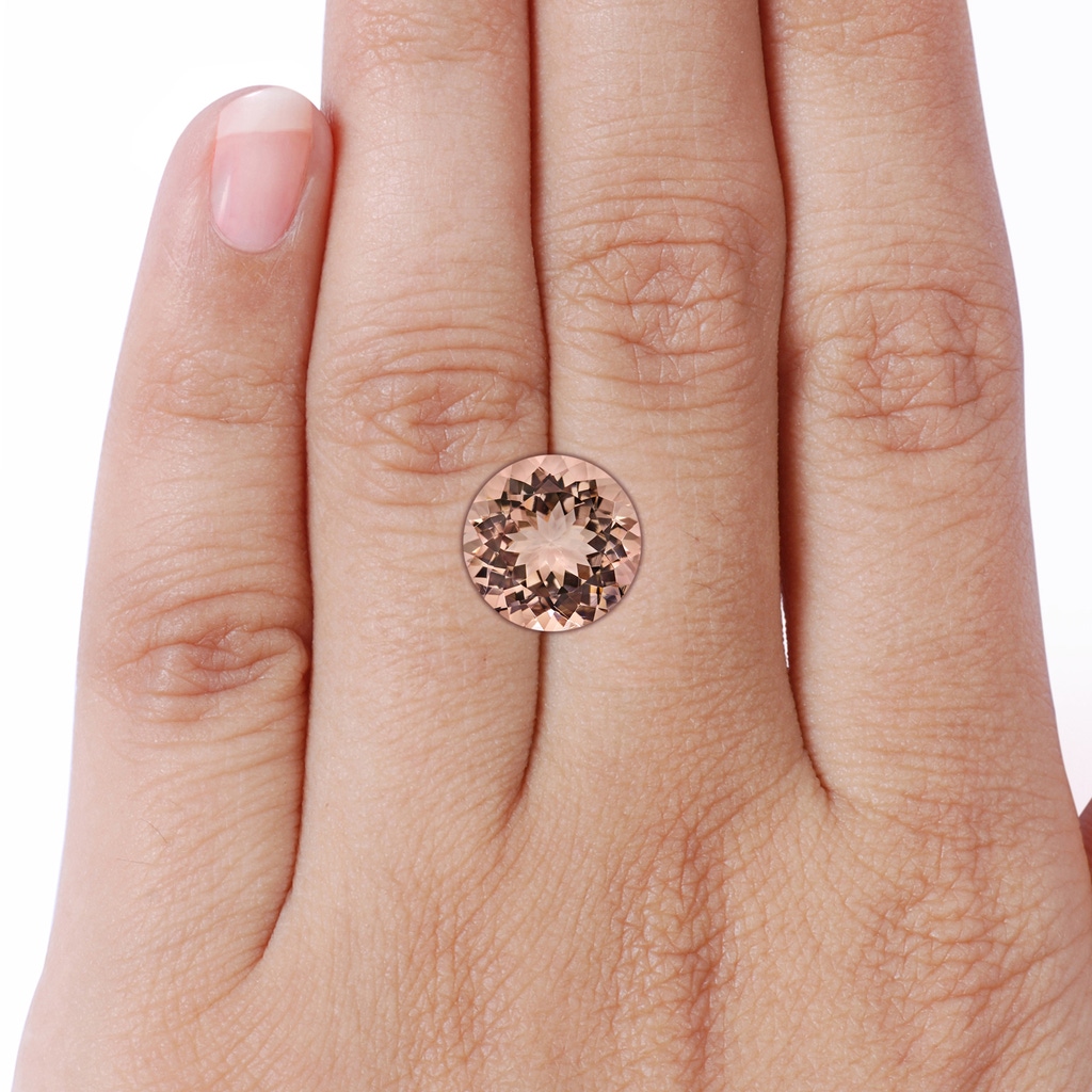 13x13mm AAAA GIA Certified Round Morganite Solitaire Ring in Rose Gold Stone-Body