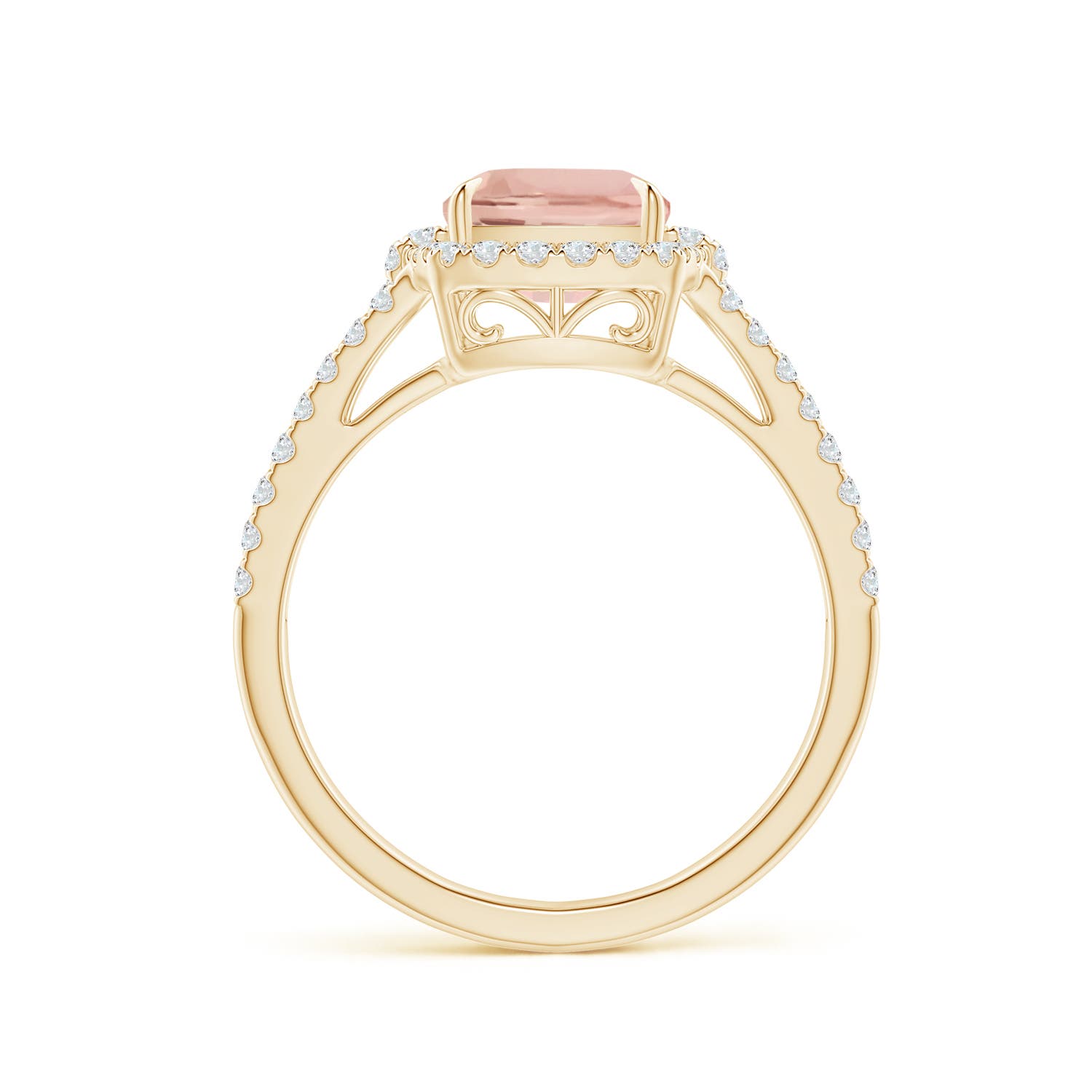 AAA - Morganite / 2.26 CT / 14 KT Yellow Gold