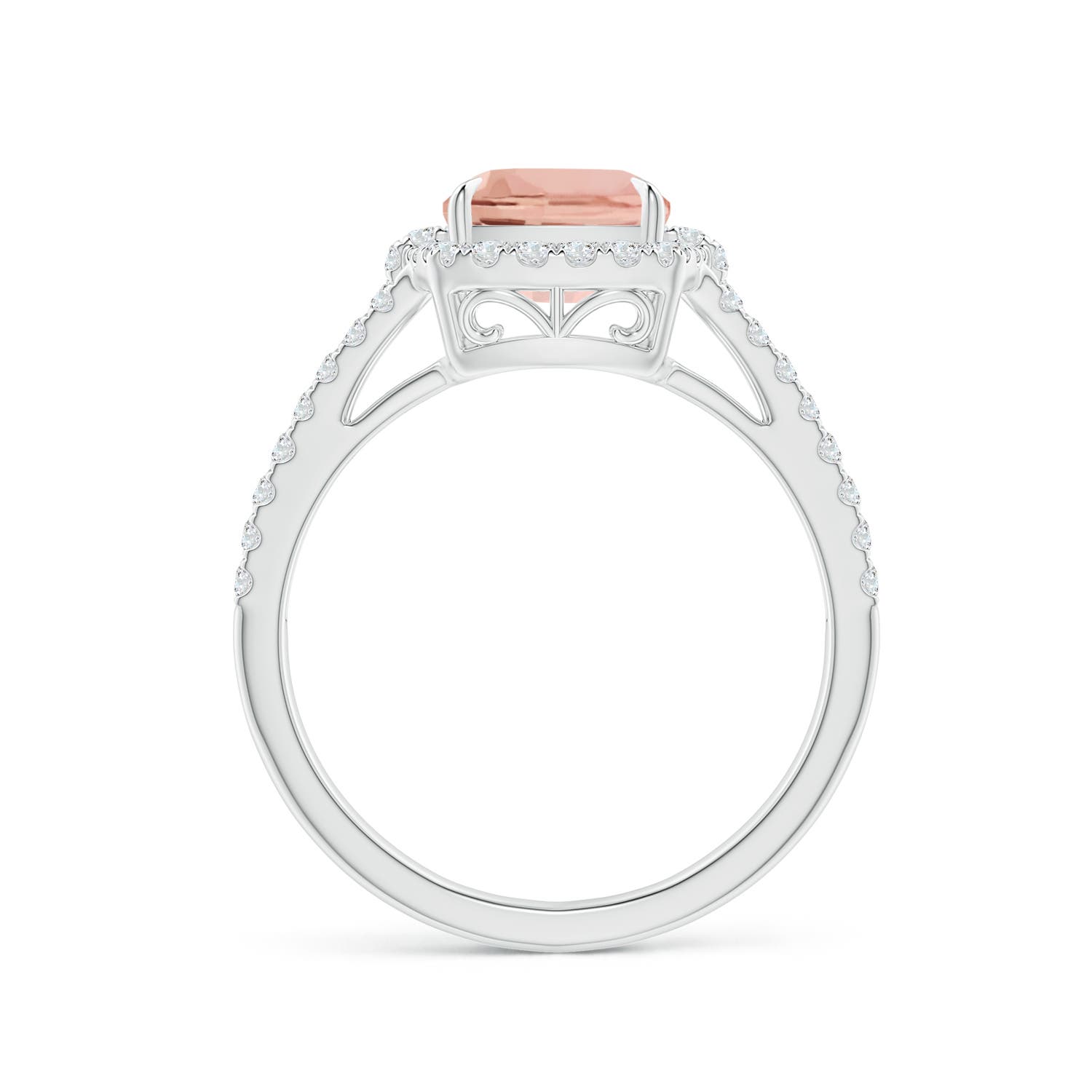 AAAA - Morganite / 2.26 CT / 14 KT White Gold