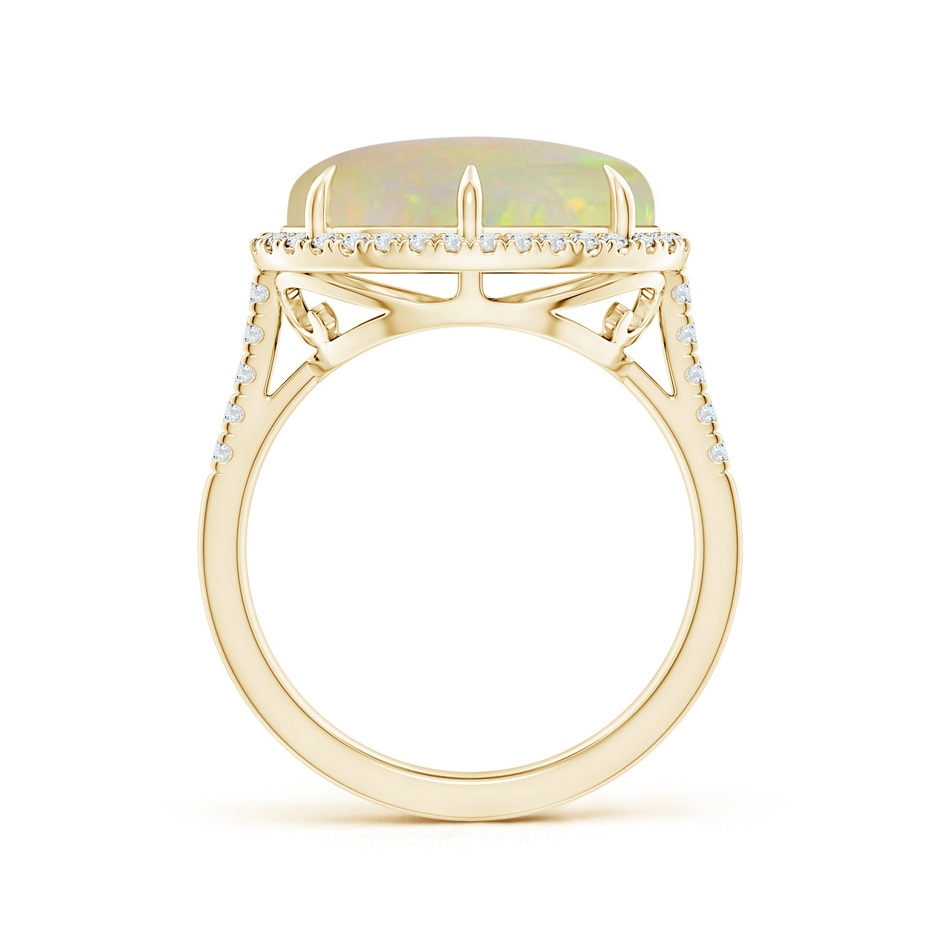 14.35x10.26x3.88mm AAA GIA Certified East-West Oval Opal Ring with Diamond Halo in 18K Yellow Gold side 199